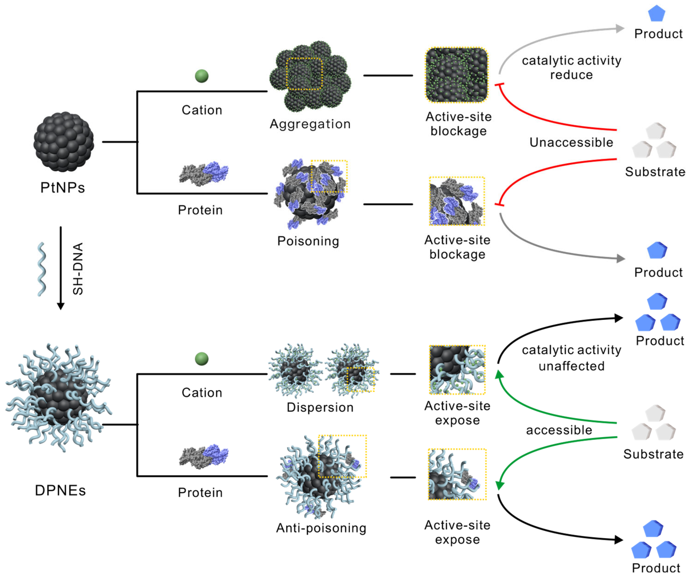 Biosensors 15 00205 g001