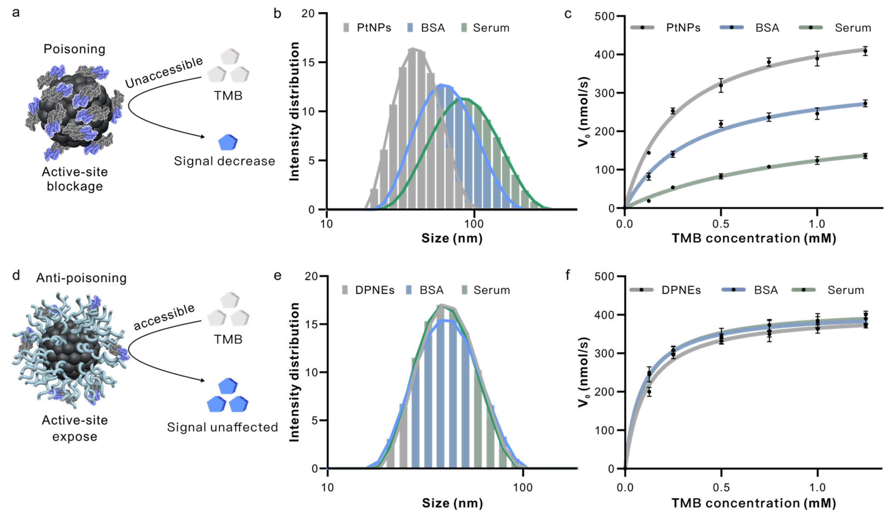 Biosensors 15 00205 g004