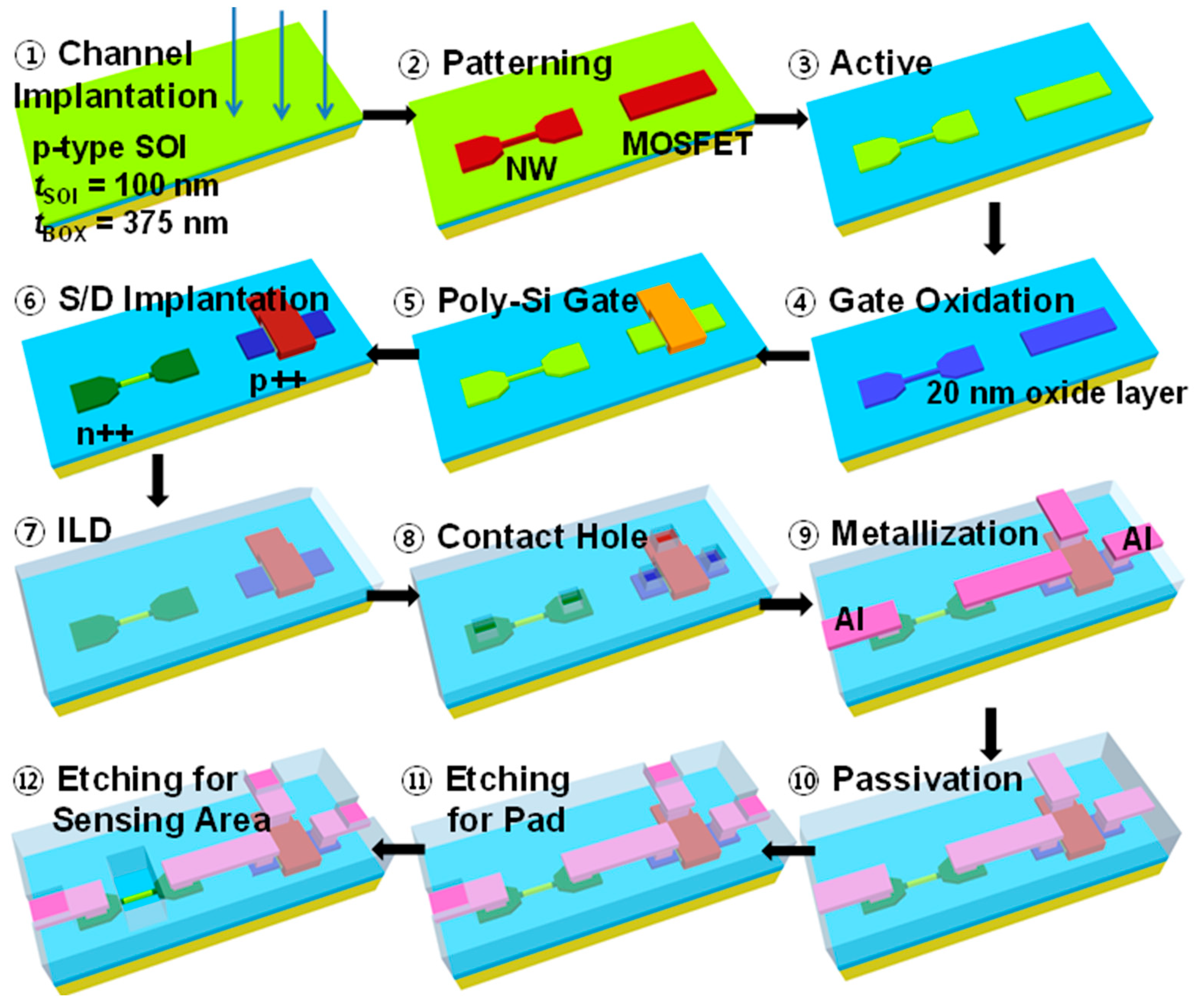 Biosensors 15 00206 g004
