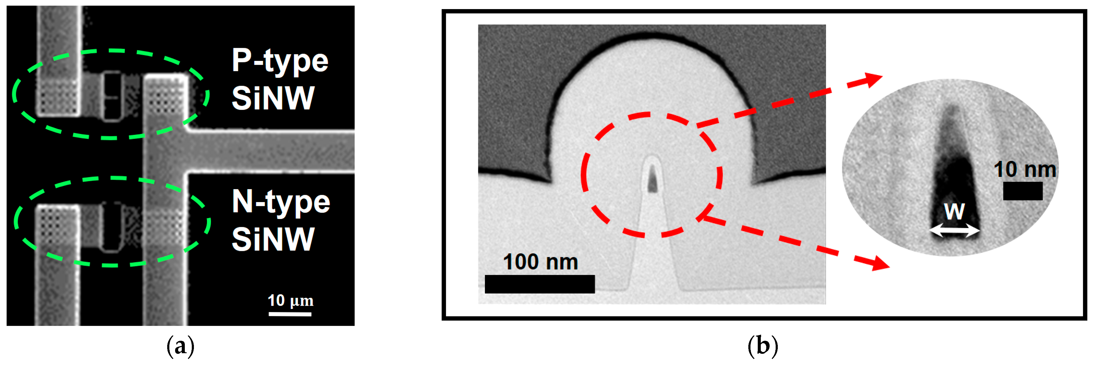 Biosensors 15 00206 g005