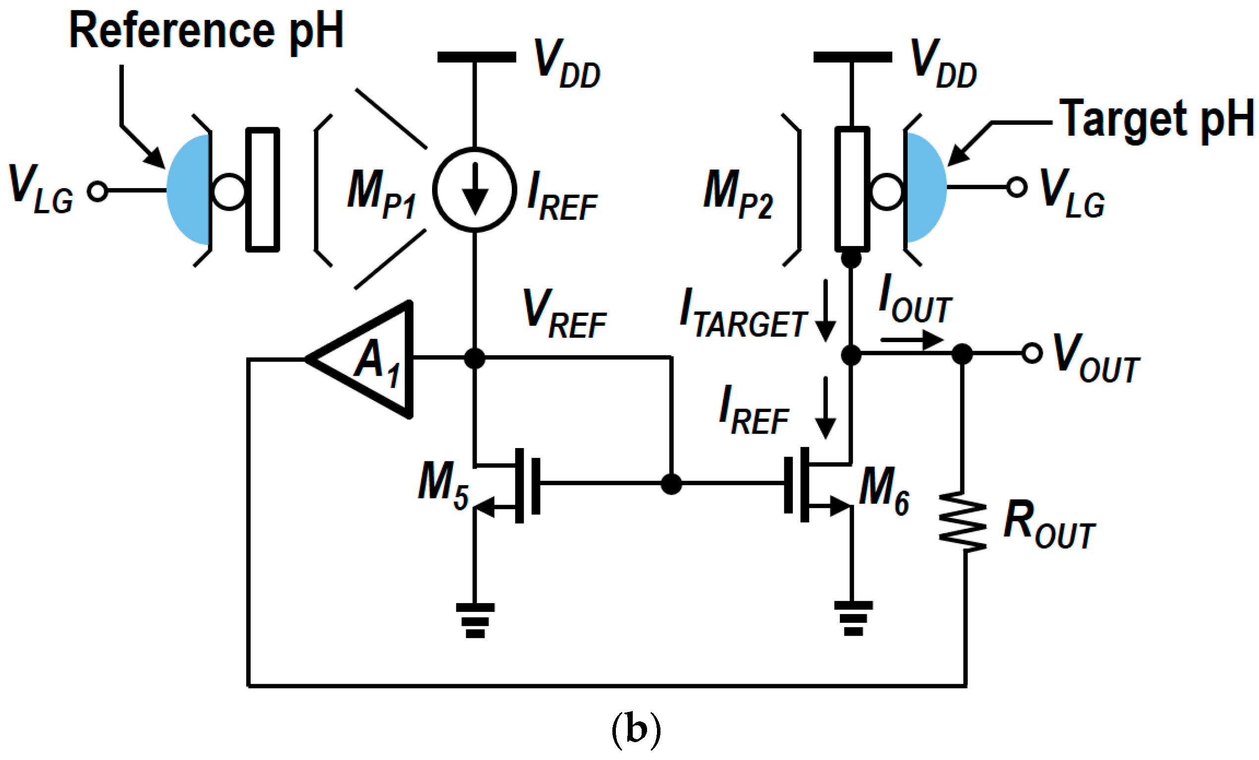 Biosensors 15 00206 g013b