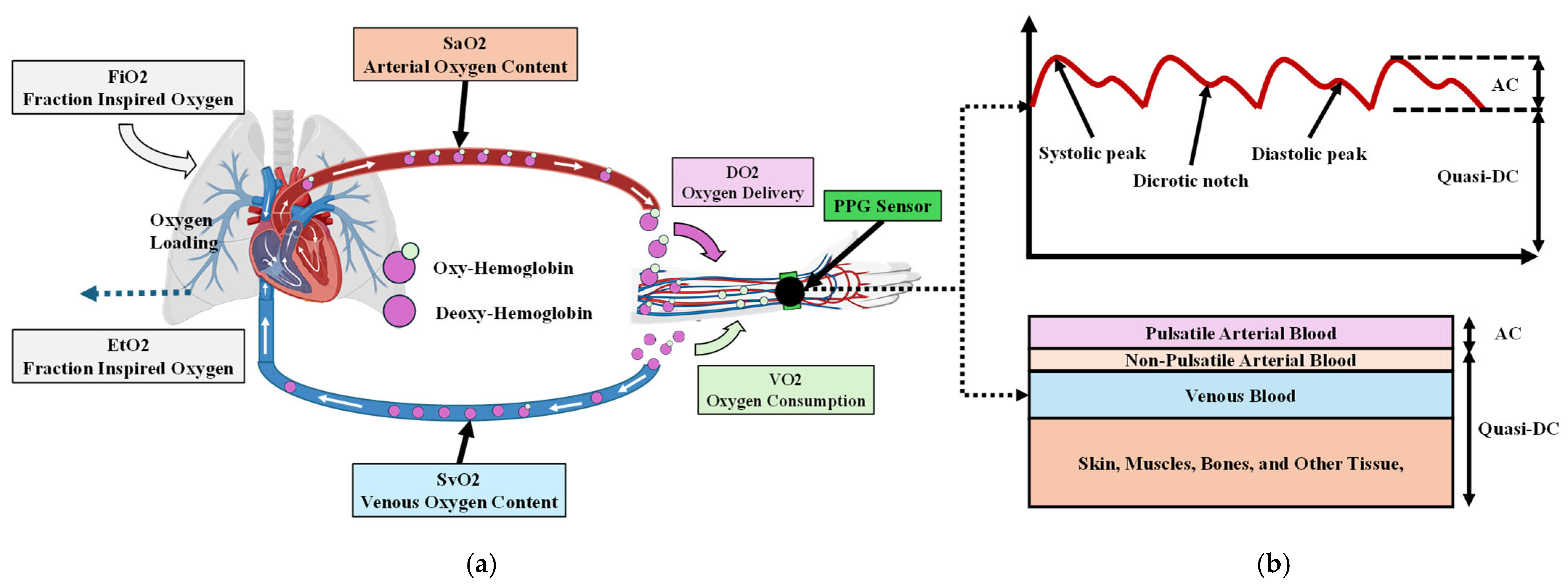Biosensors 15 00208 g001