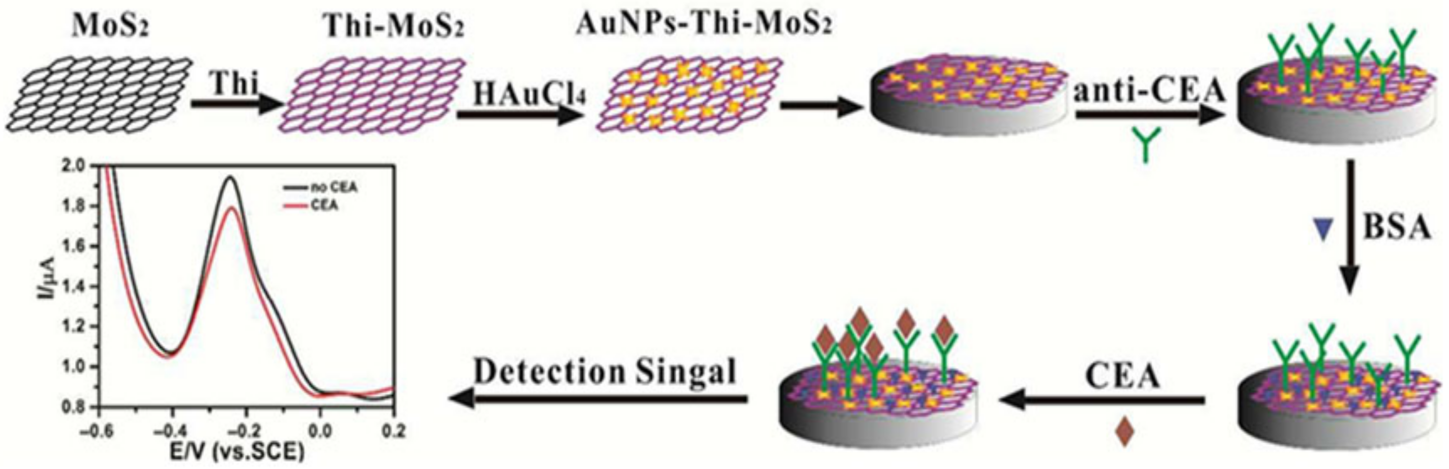 Biosensors 15 00210 g006