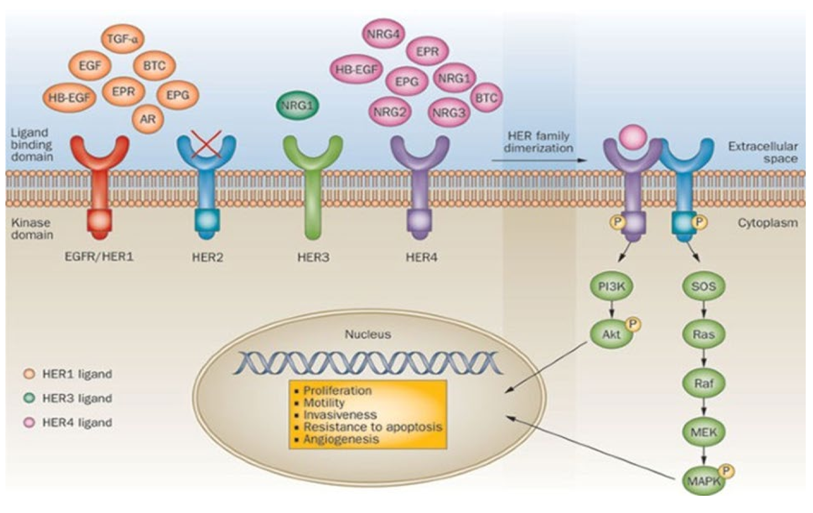 Biosensors 15 00210 g007