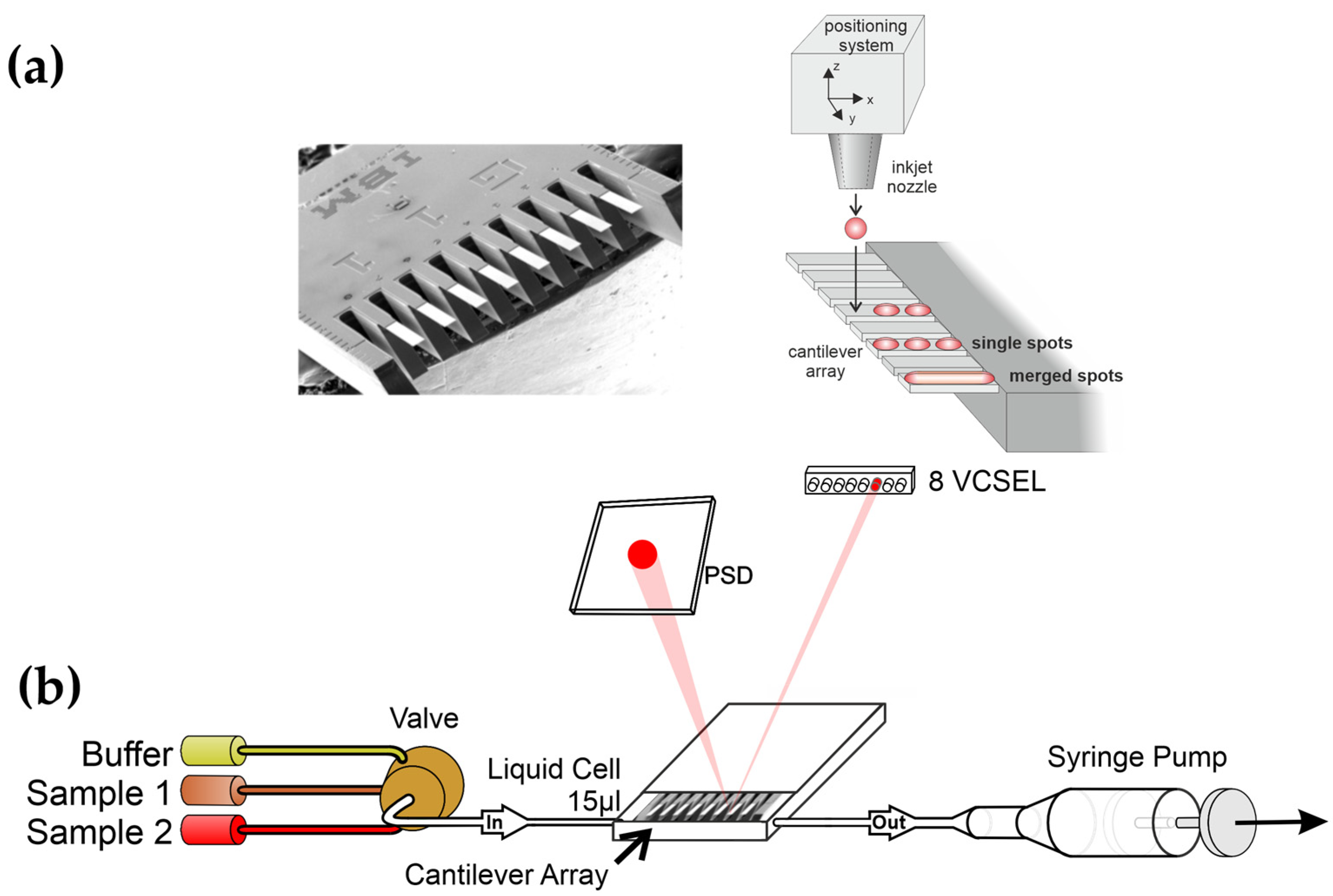 Biosensors 15 00217 g001