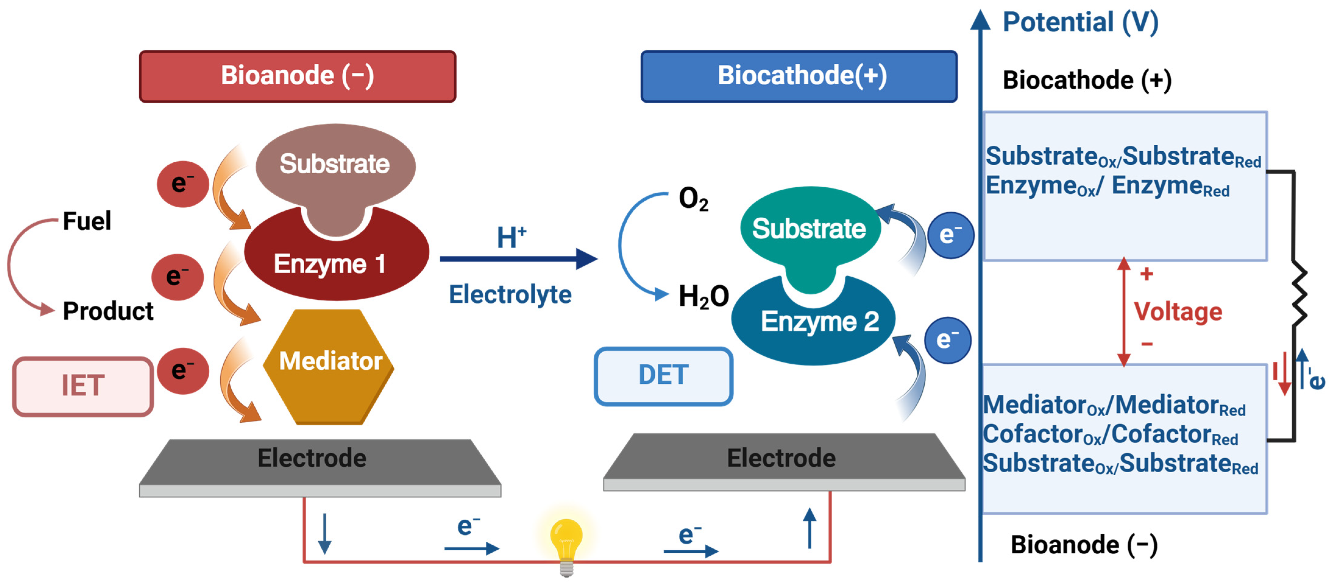Biosensors 15 00218 g001
