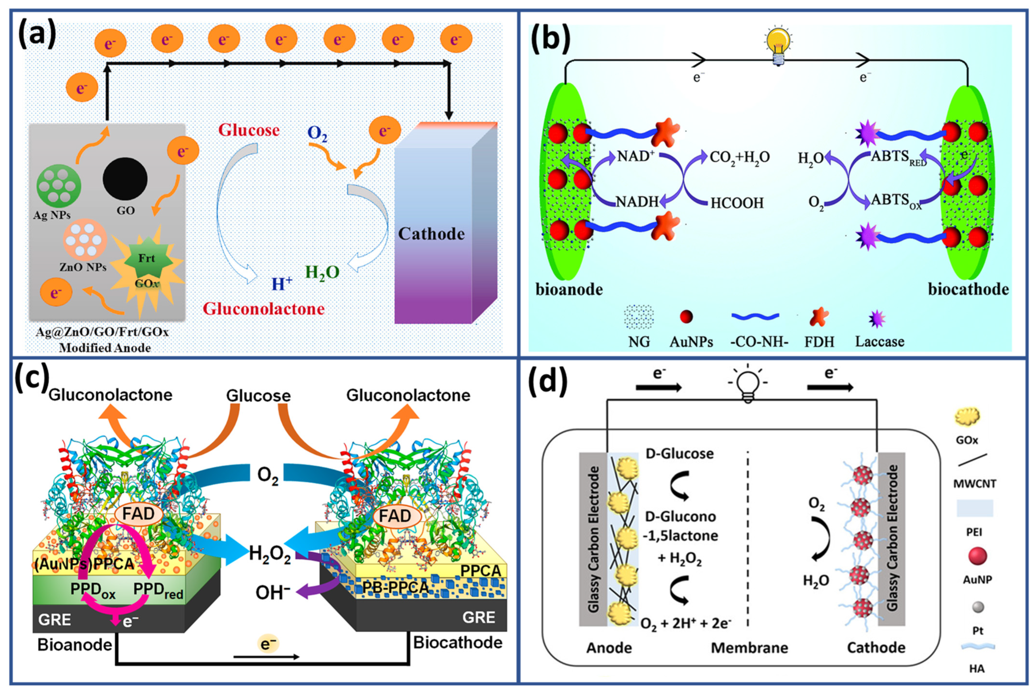 Biosensors 15 00218 g004
