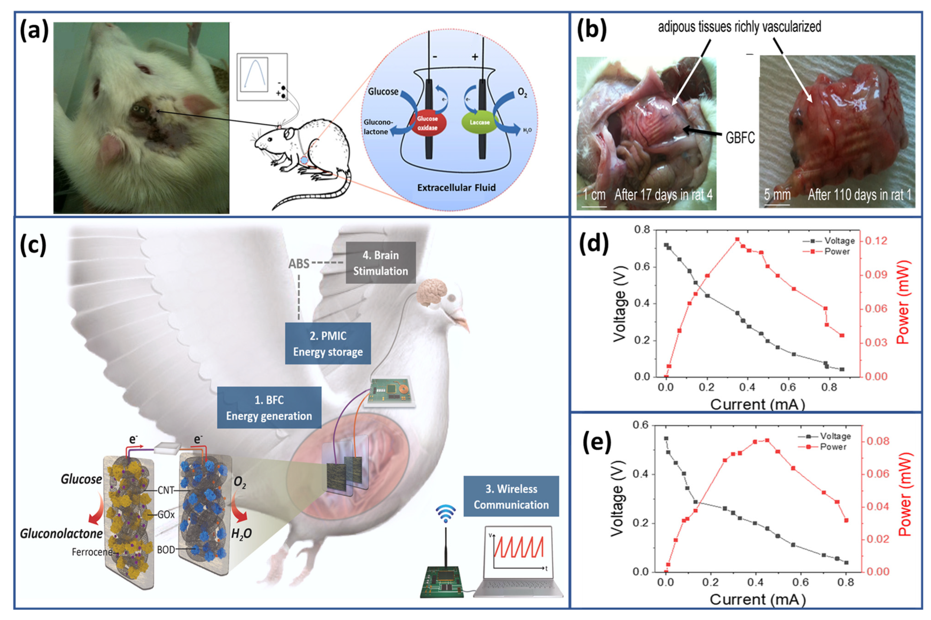 Biosensors 15 00218 g010