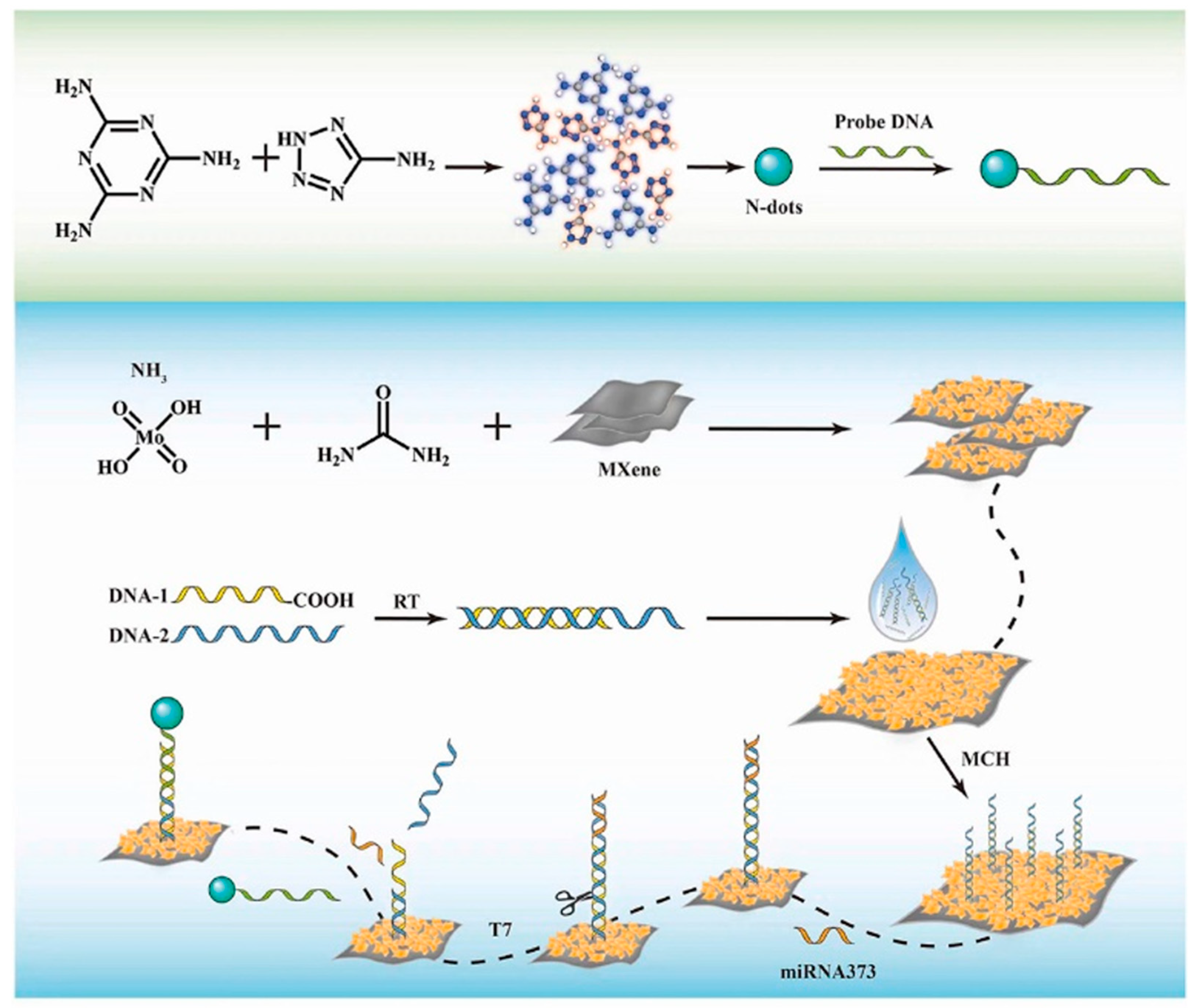 Biosensors 15 00227 g003