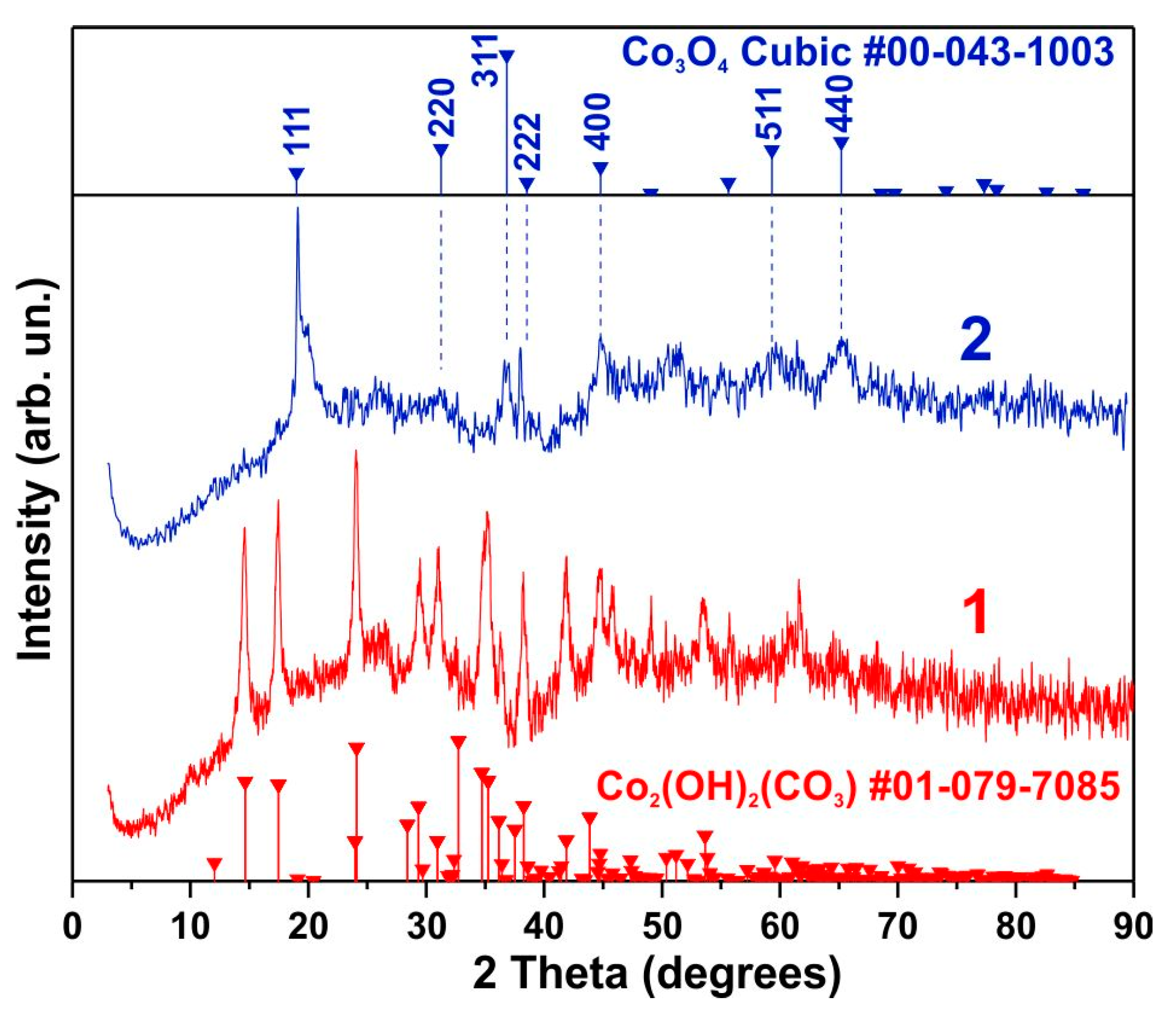Biosensors 15 00235 g001