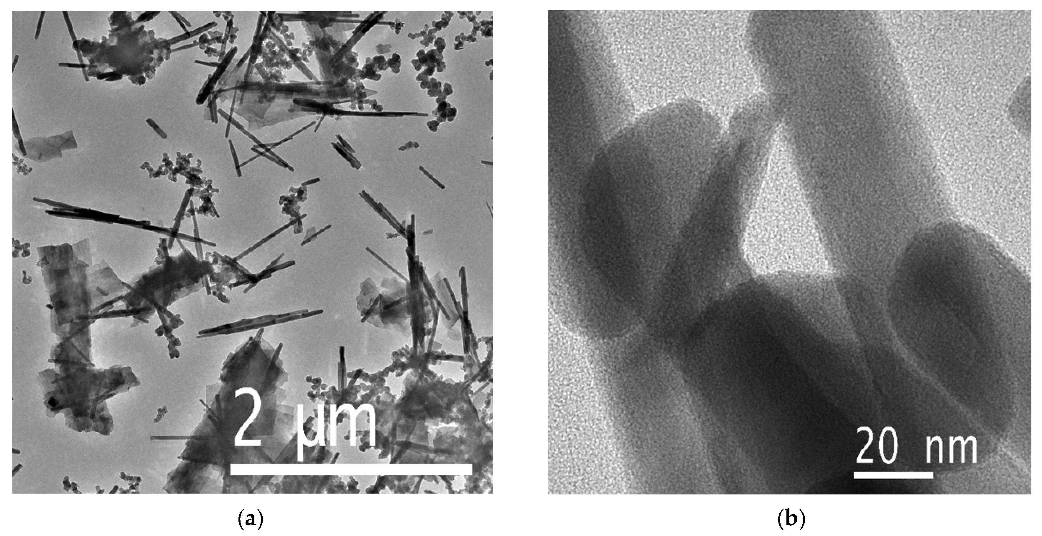 Biosensors 15 00235 g003