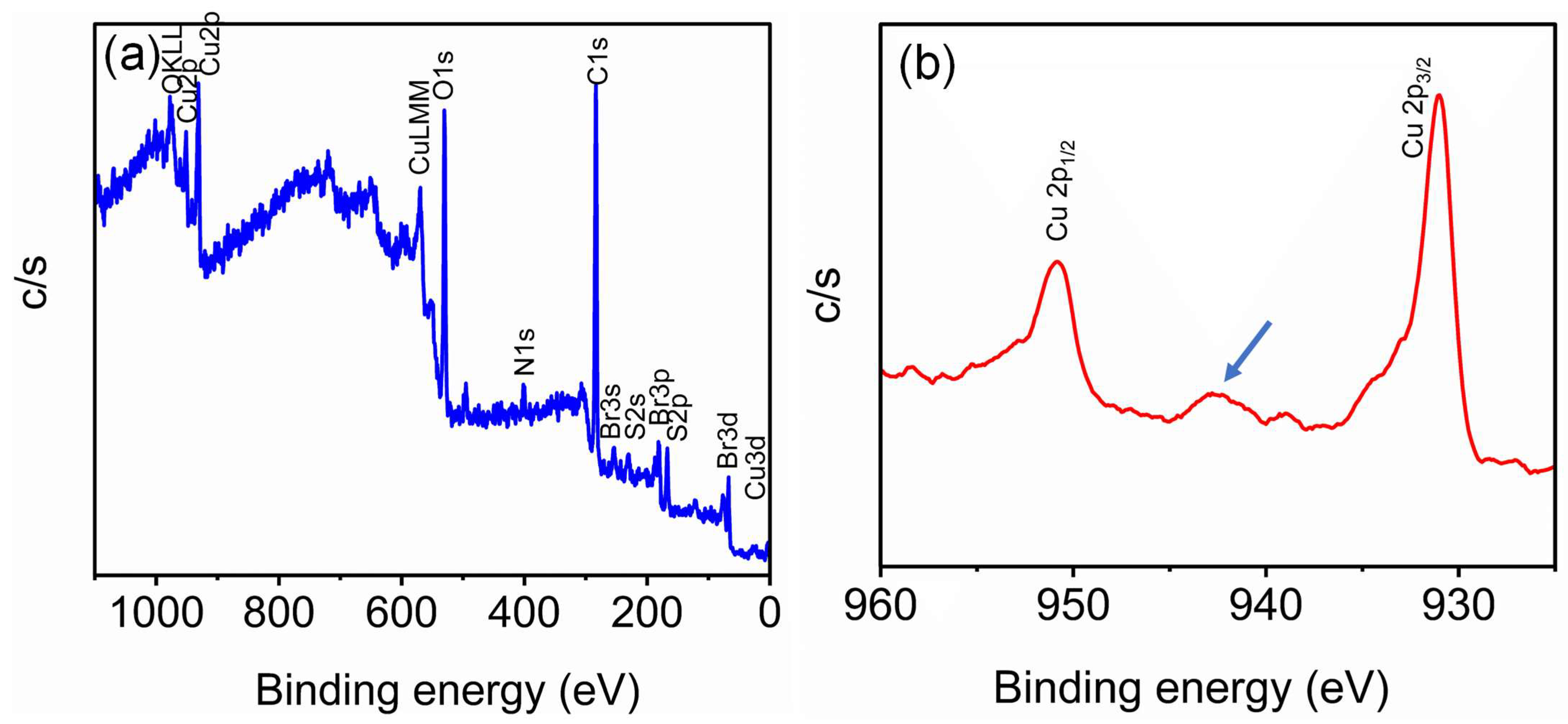 Biosensors 15 00237 g002