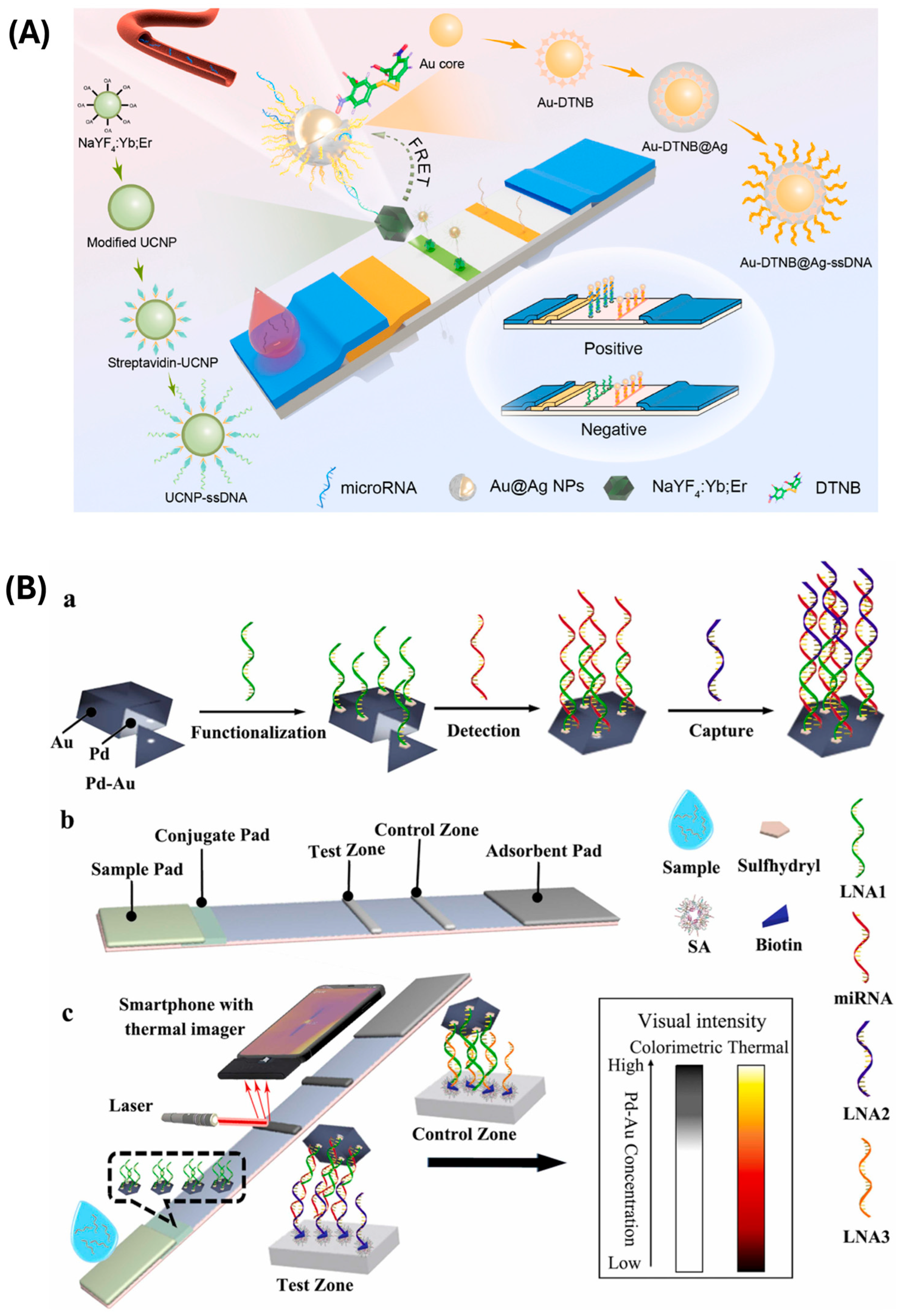 Biosensors 15 00238 g004