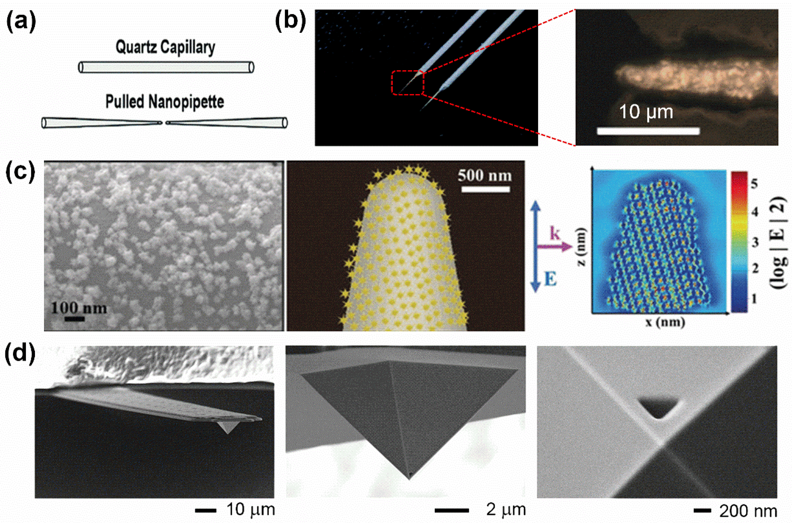 Biosensors 15 00244 g002
