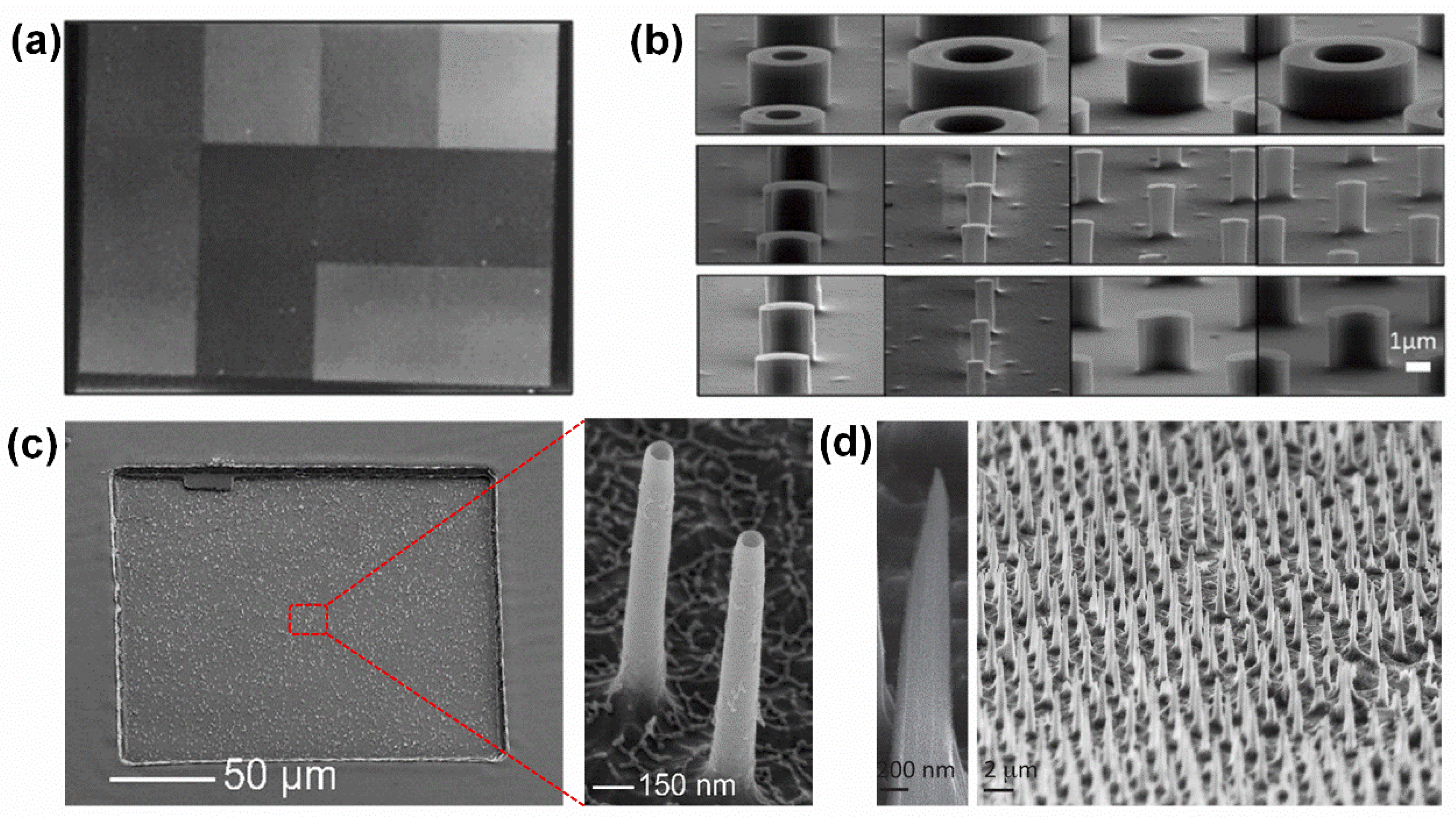 Biosensors 15 00244 g004
