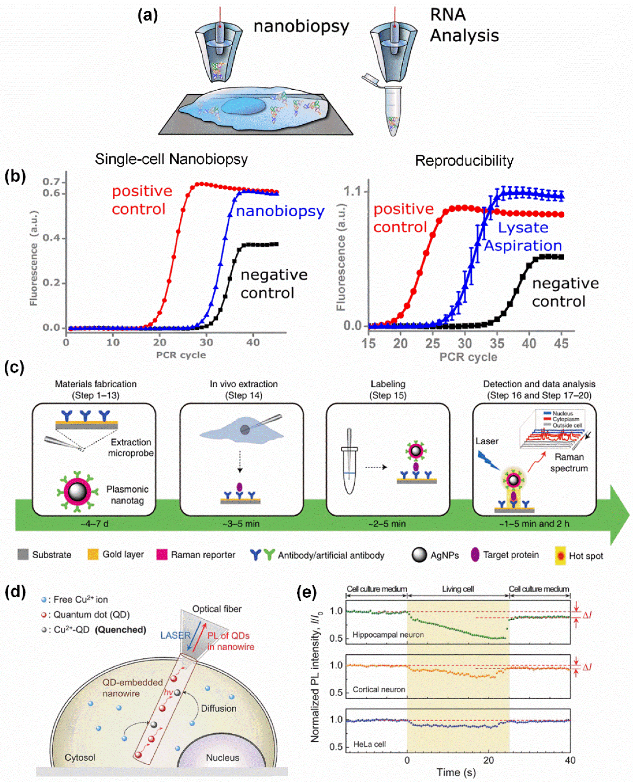 Biosensors 15 00244 g005