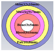 Biosensors 15 00250 i001