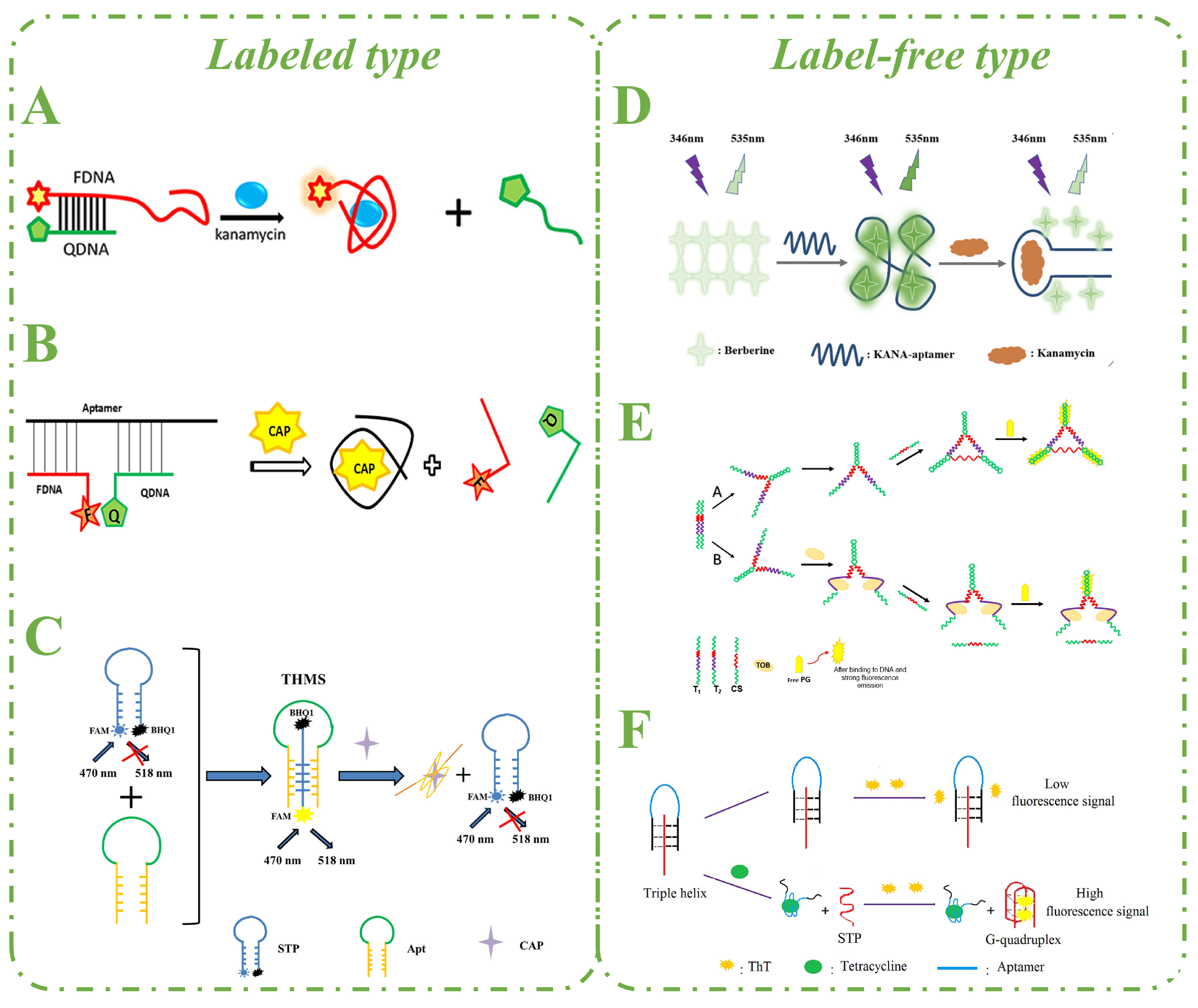 Biosensors 15 00252 g003