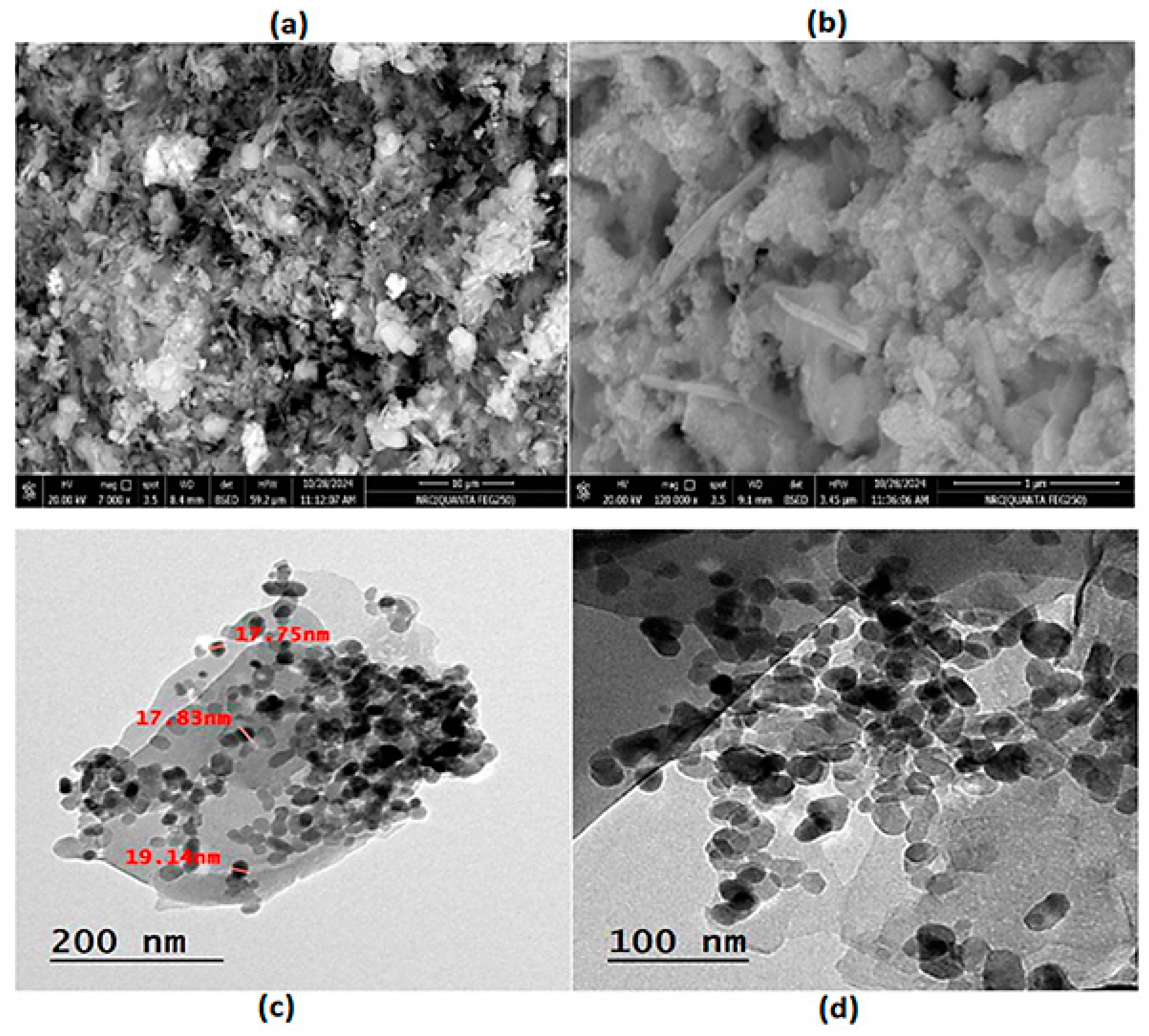 Biosensors 15 00263 g002