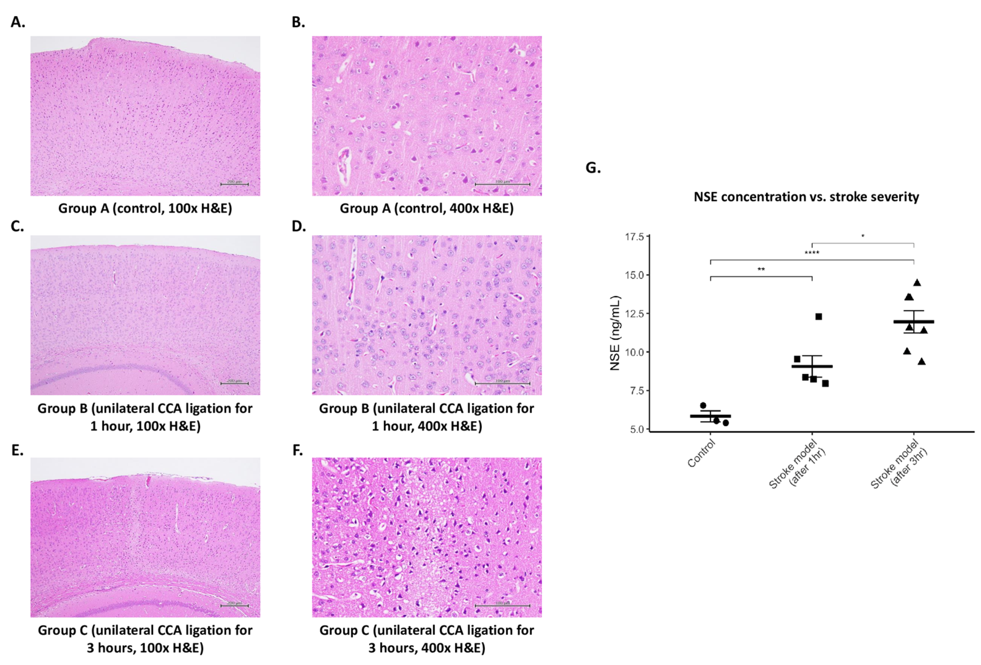 Biosensors 15 00264 g002