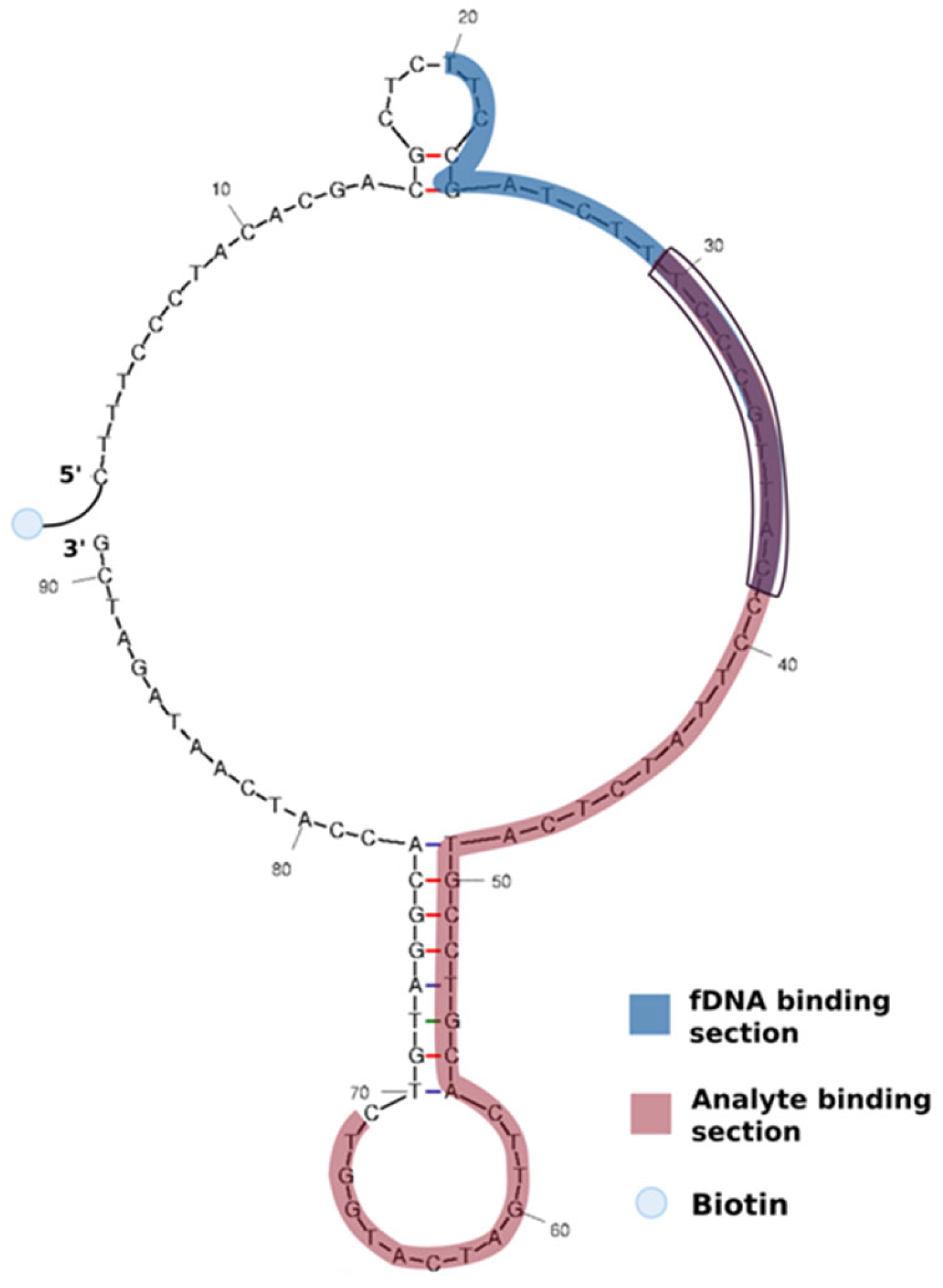 Biosensors 15 00266 g001