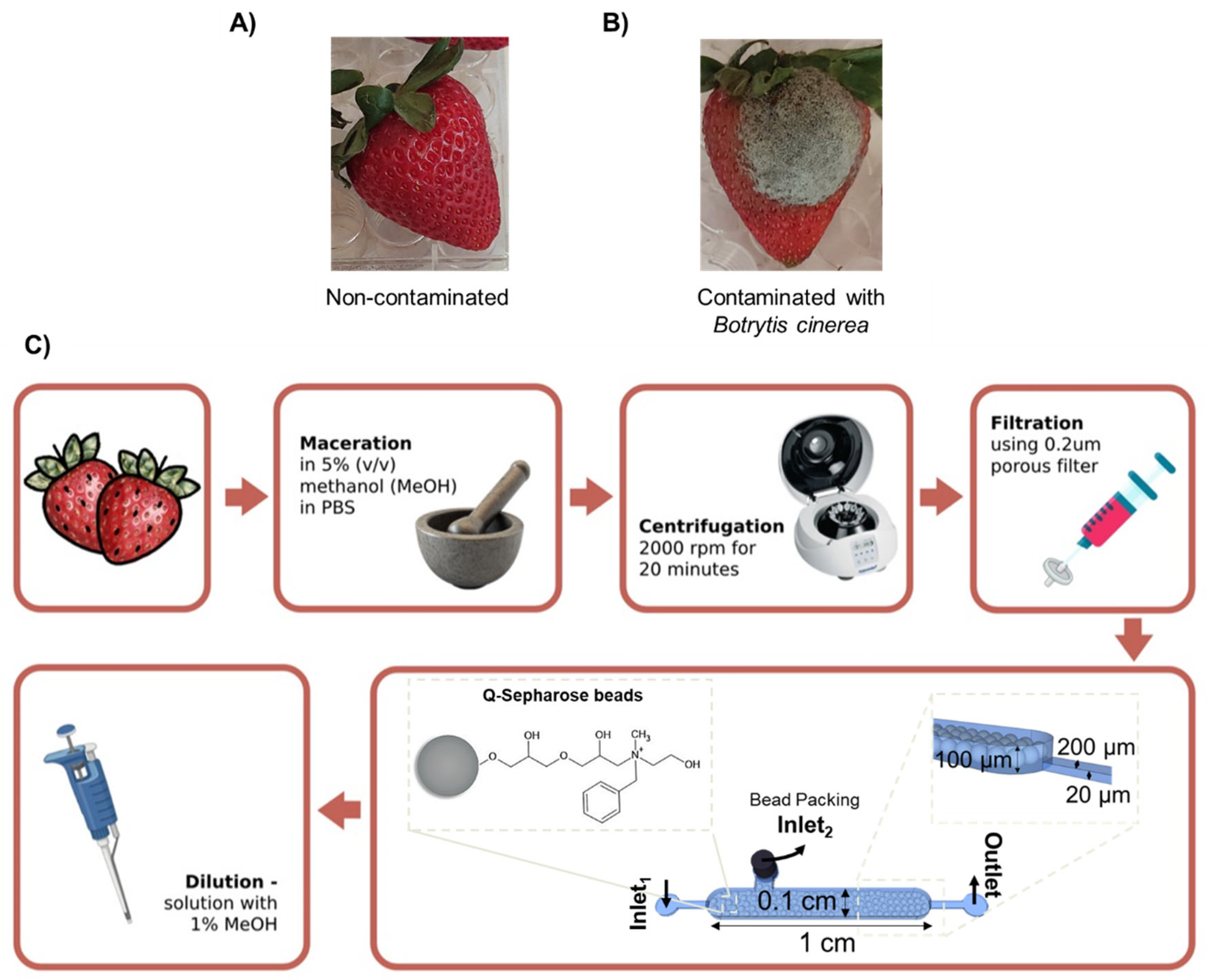 Biosensors 15 00266 g002