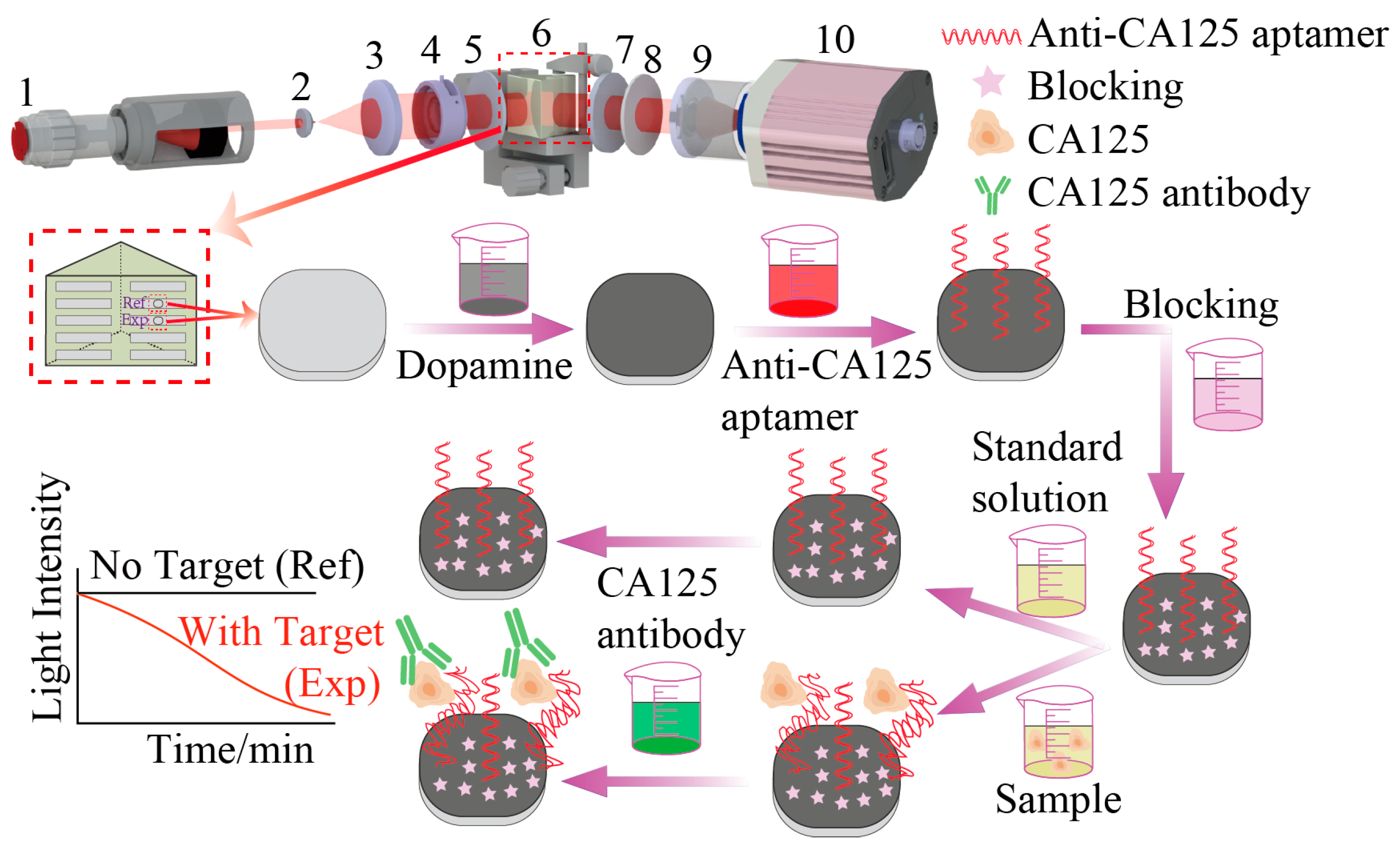 Biosensors 15 00268 g001