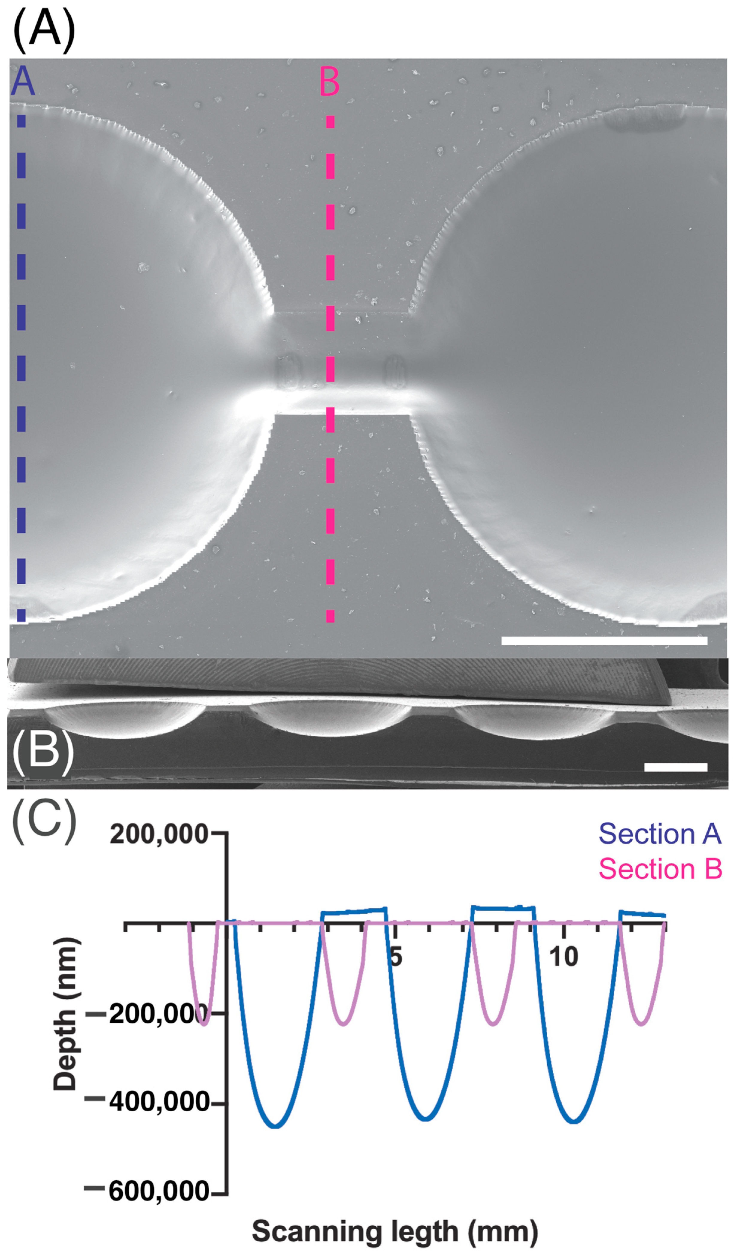 Biosensors 15 00270 g002