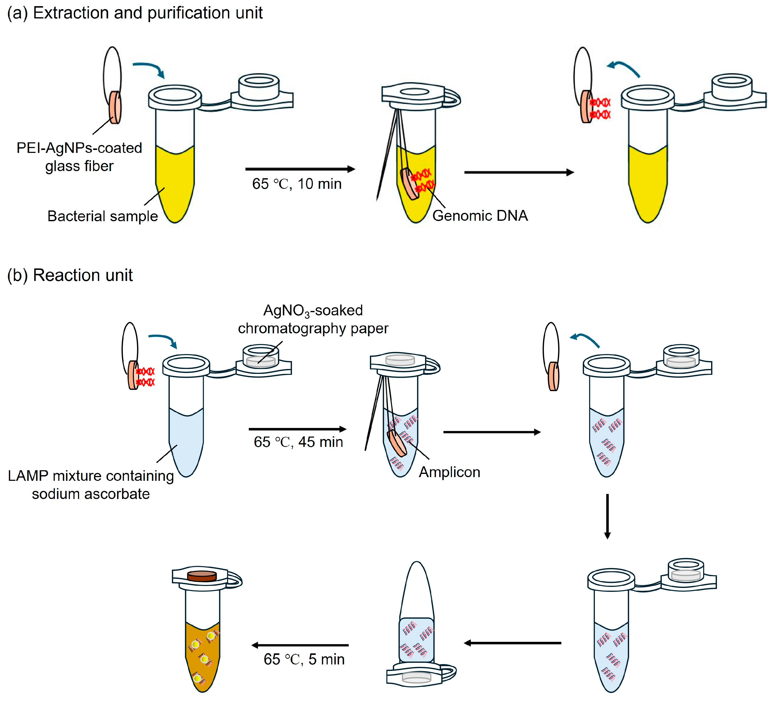 Biosensors 15 00271 g002