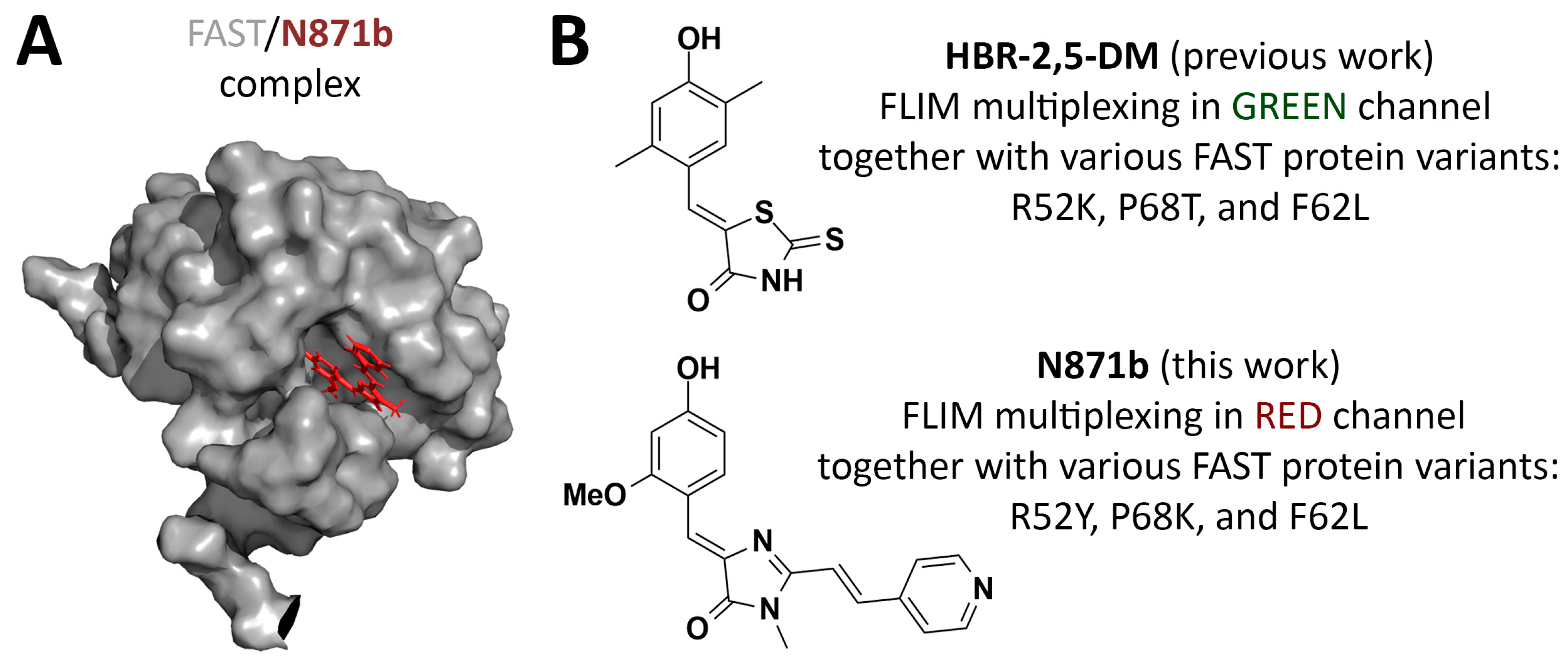 Biosensors 15 00274 g001
