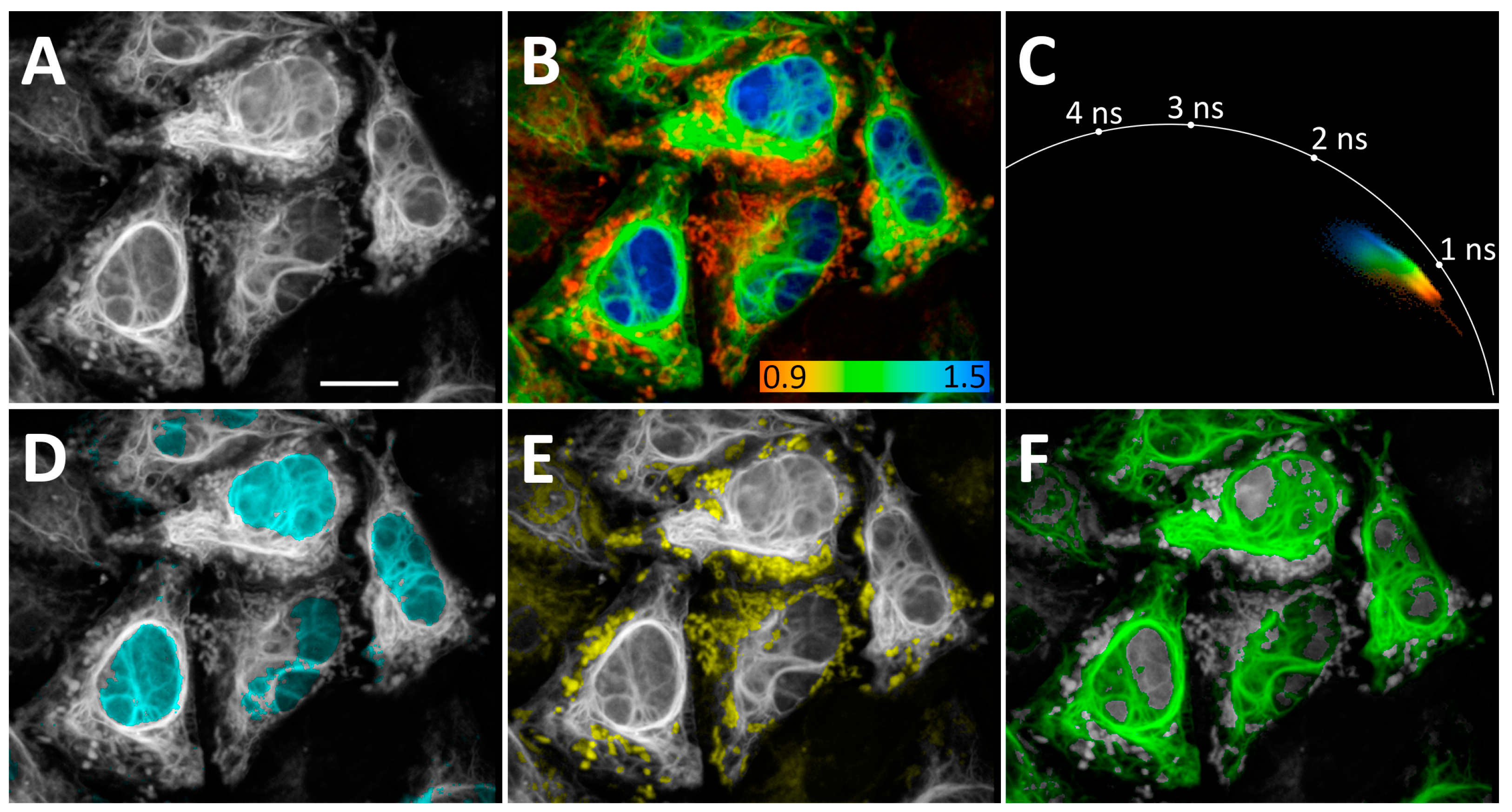 Biosensors 15 00274 g004