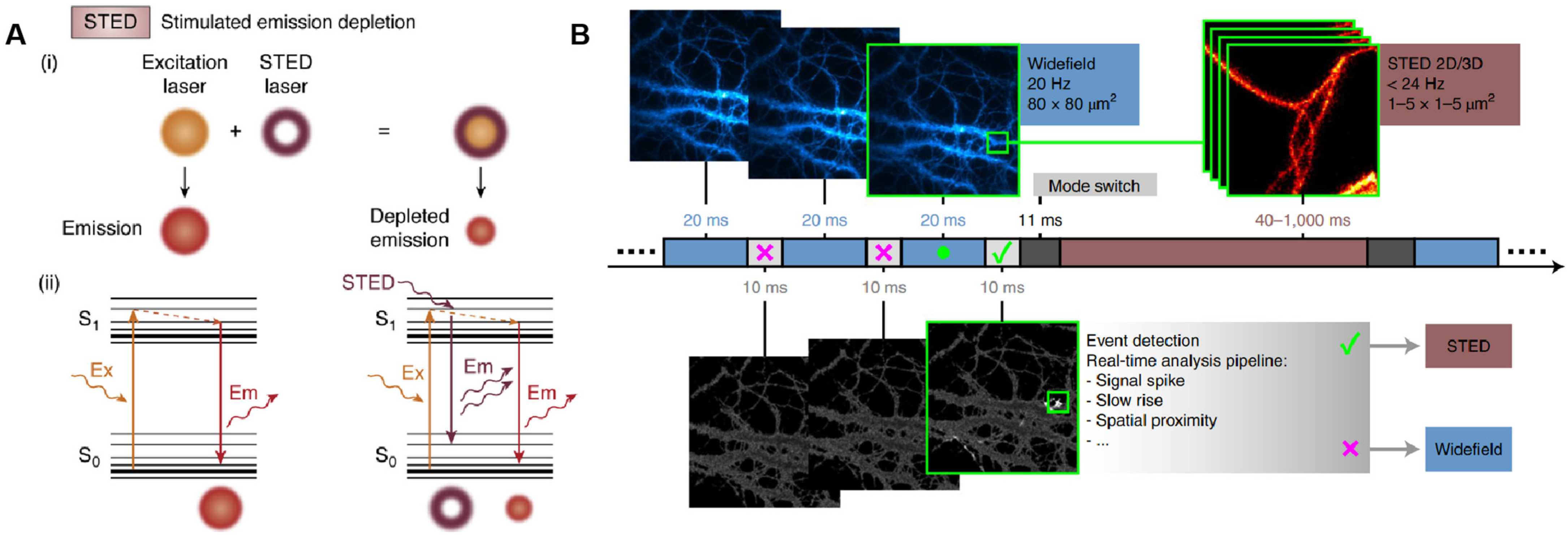 Biosensors 15 00283 g003