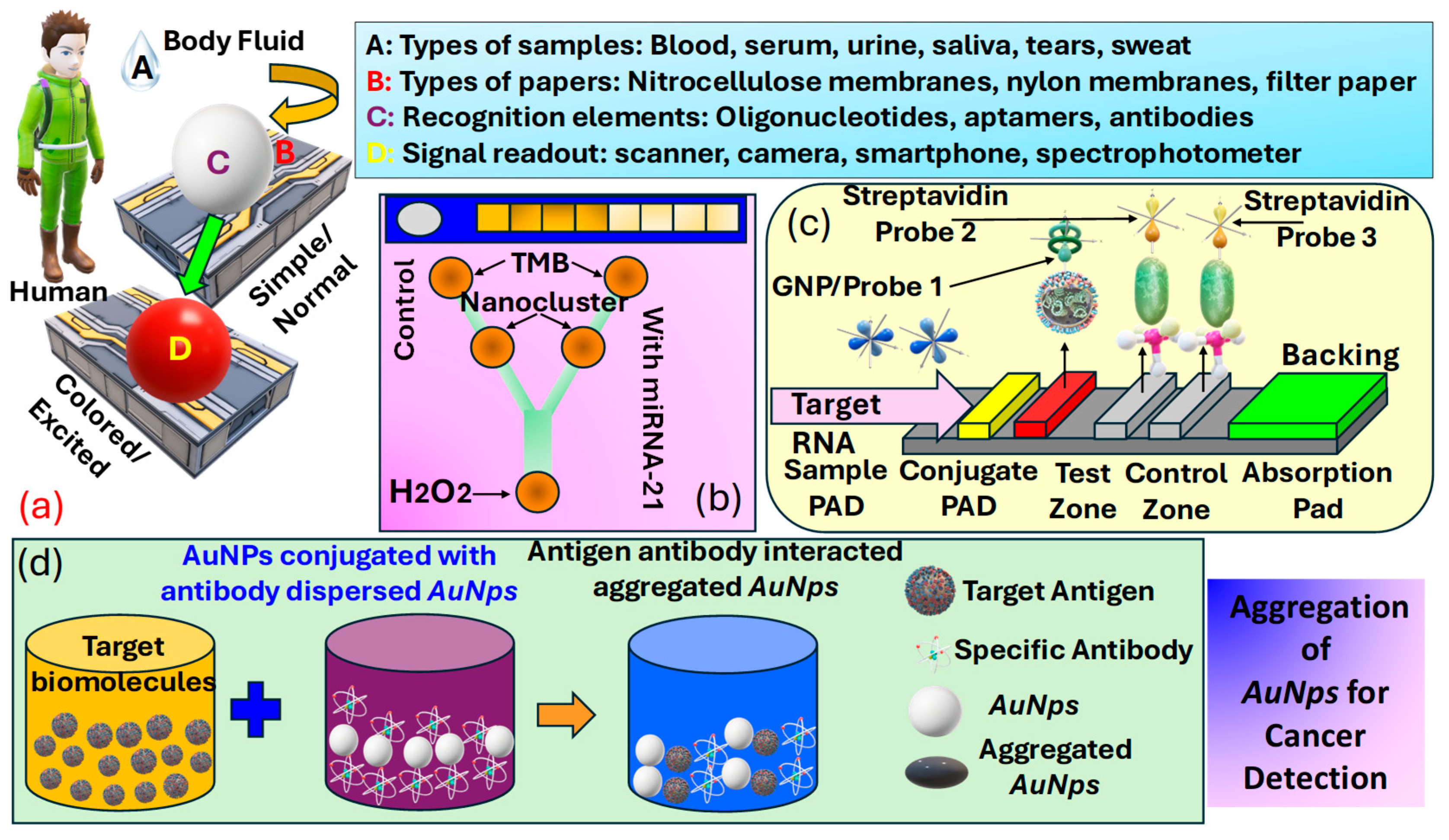 Biosensors 15 00292 g009