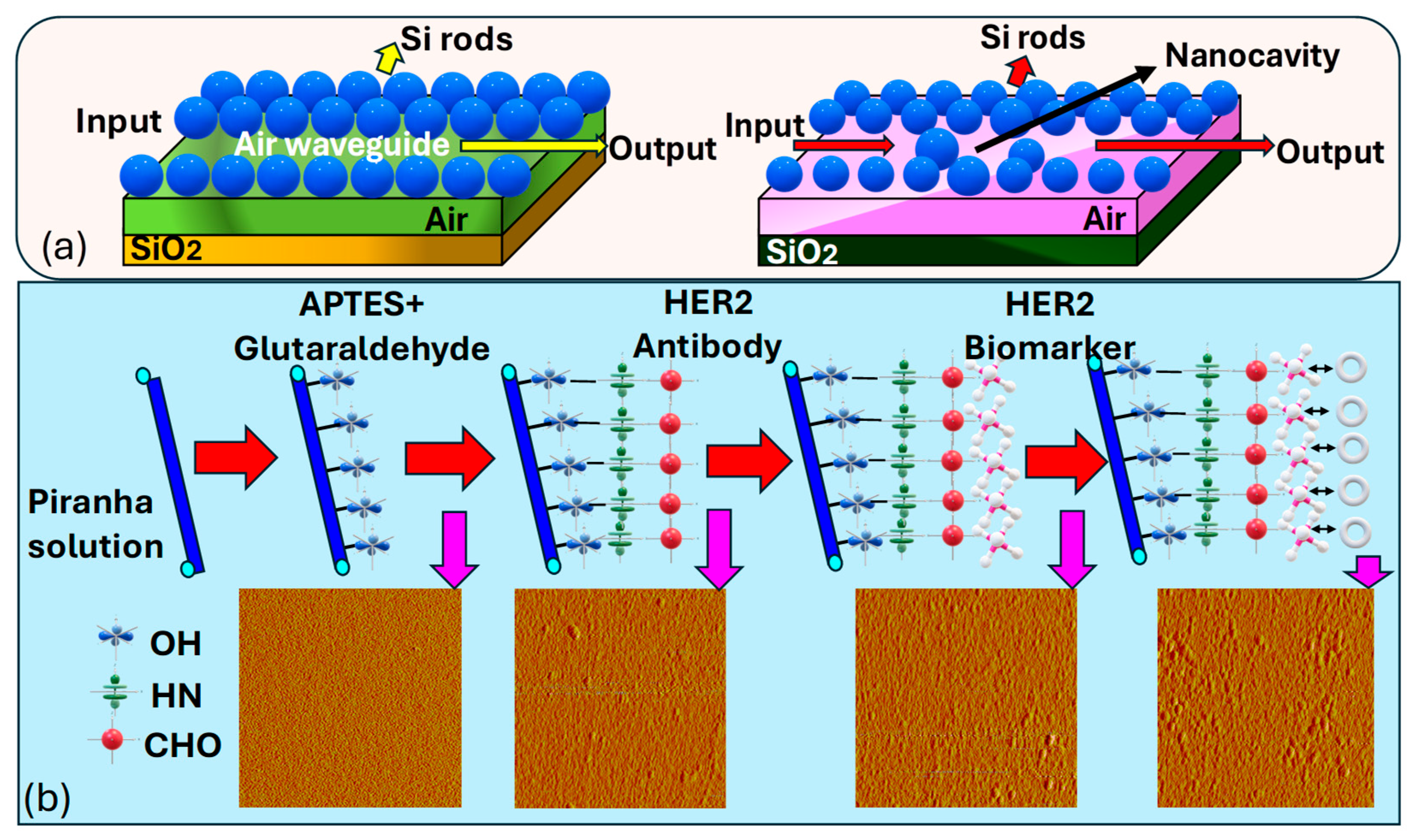 Biosensors 15 00292 g012
