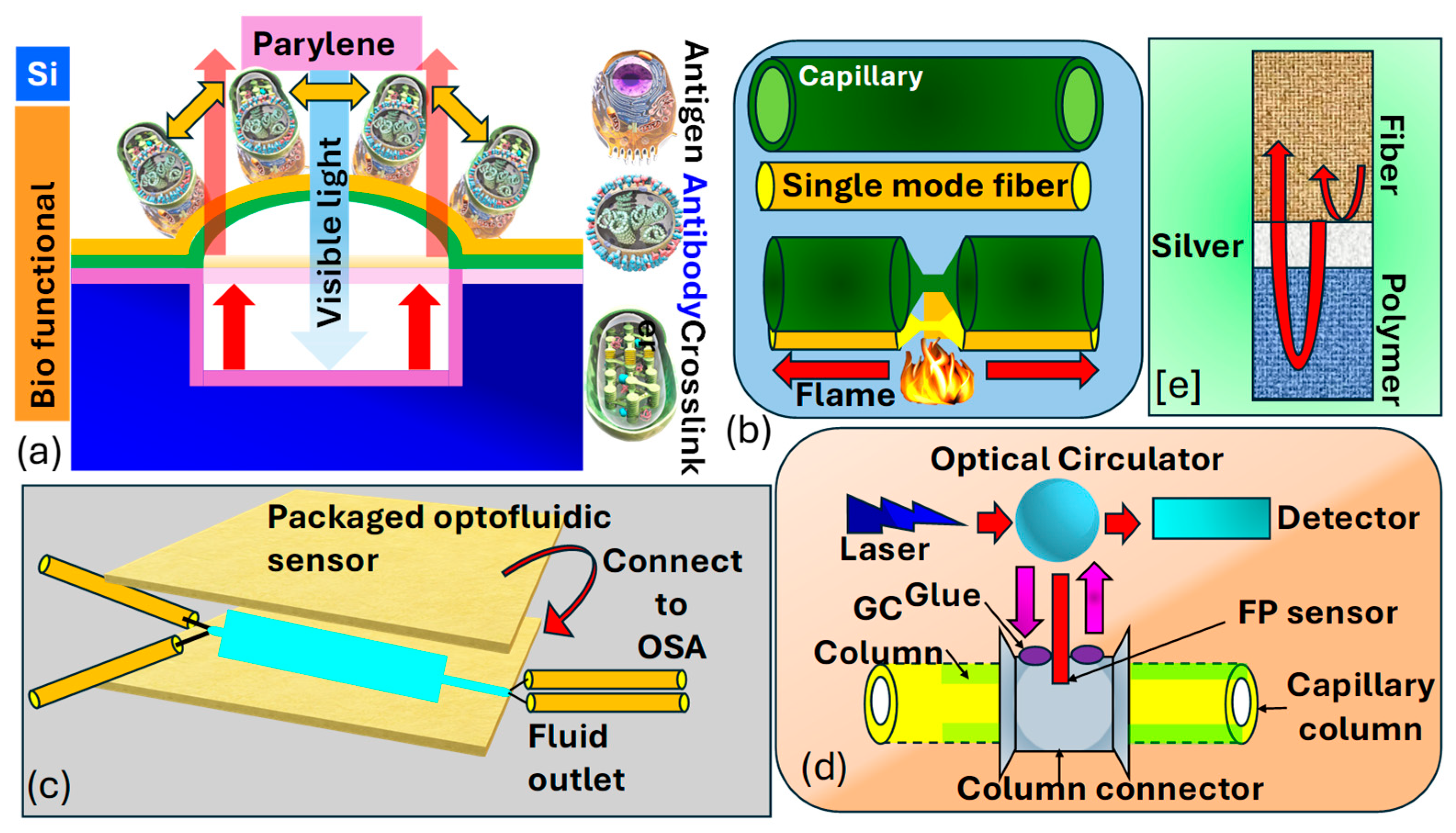 Biosensors 15 00292 g013