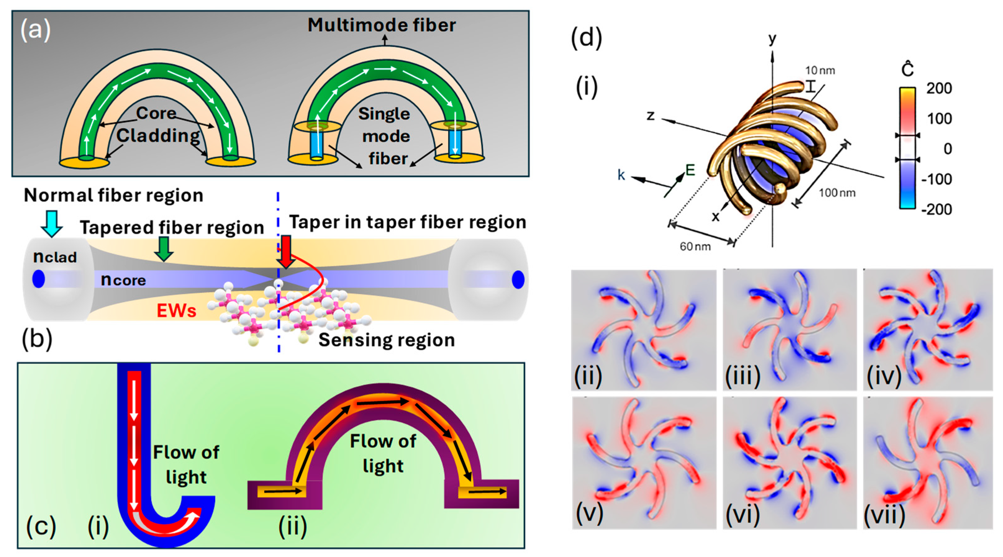 Biosensors 15 00292 g015