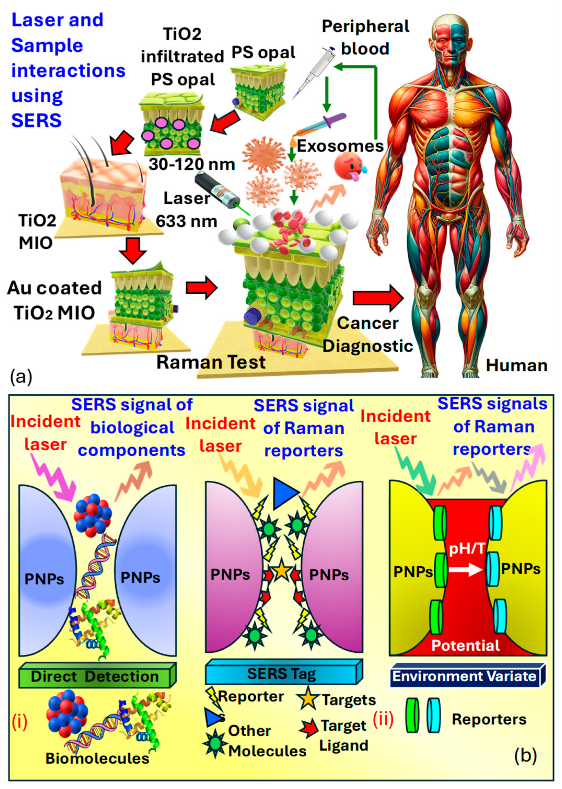Biosensors 15 00292 g016