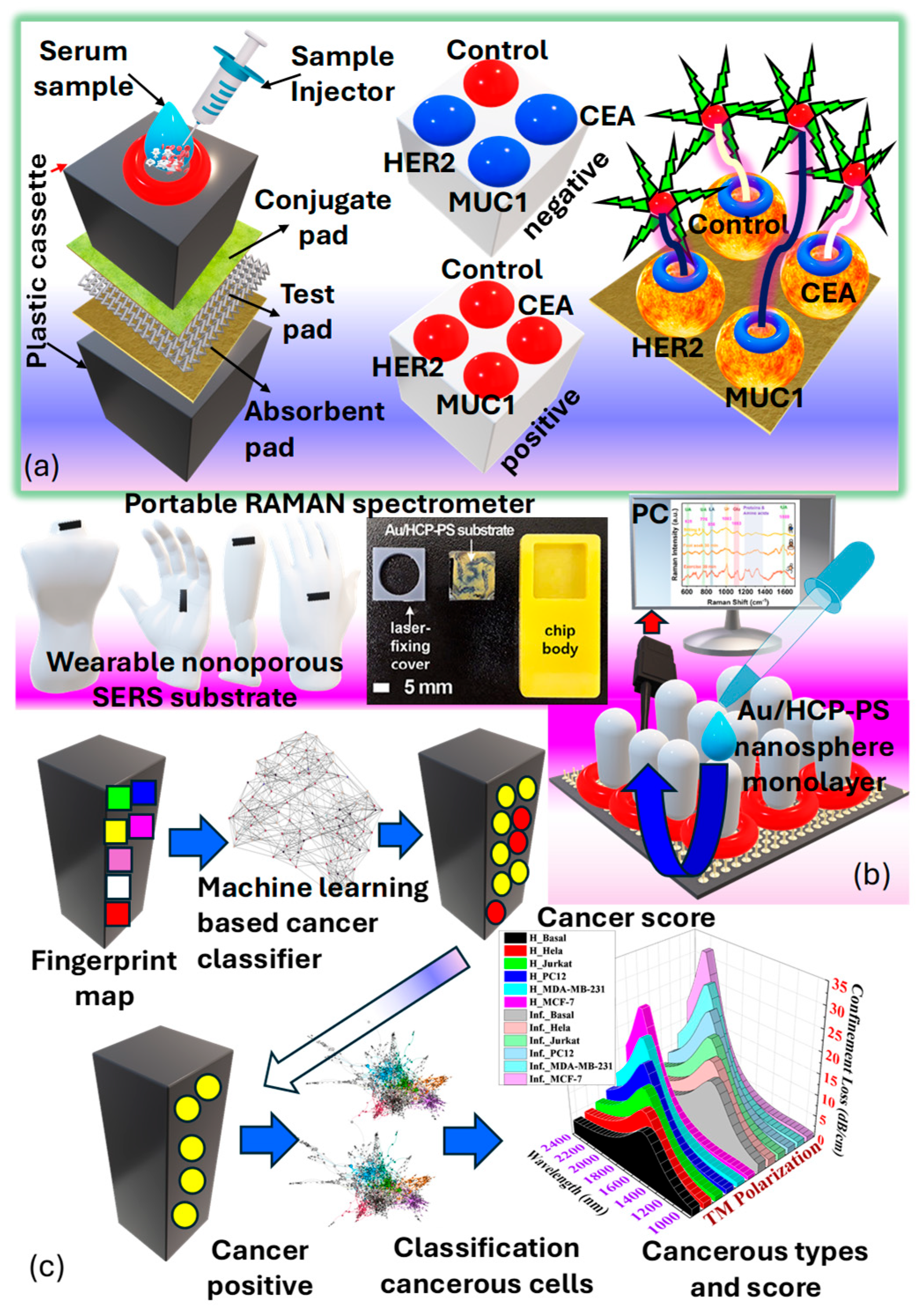 Biosensors 15 00292 g017