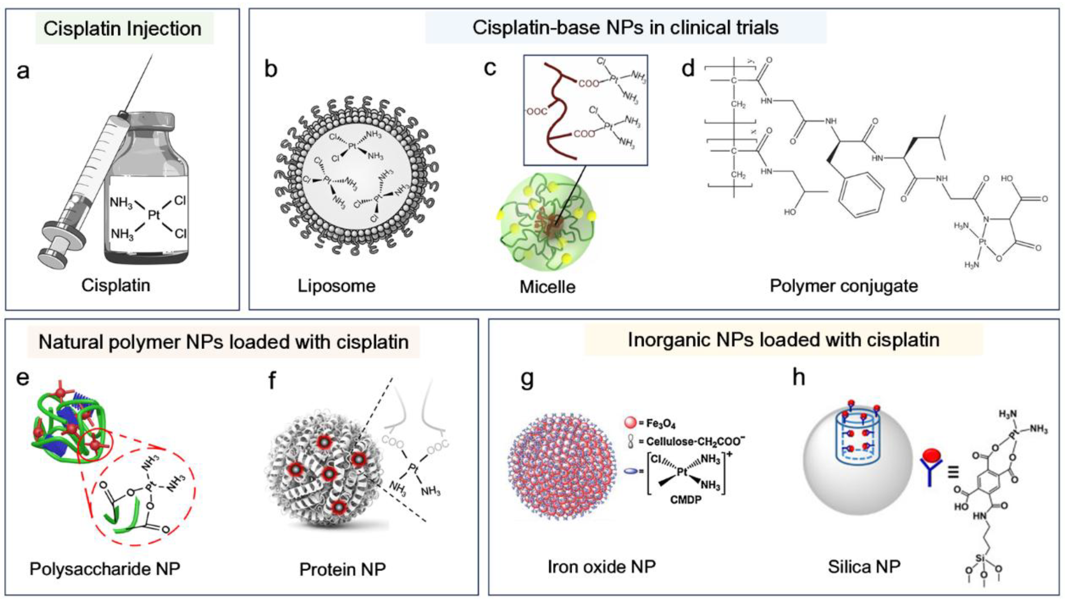 Biosensors 15 00293 g001