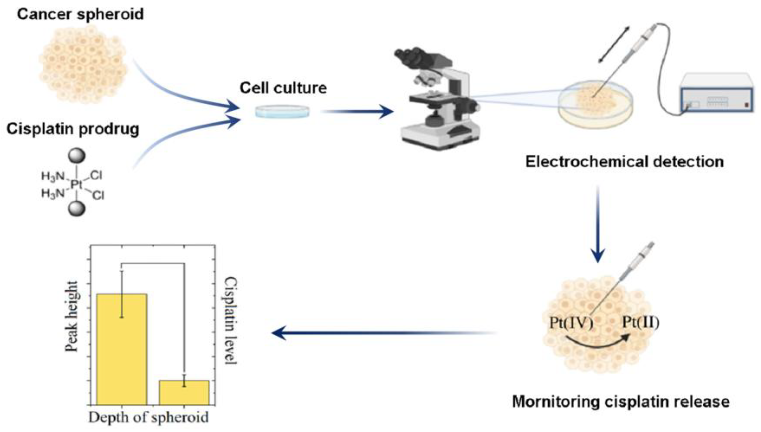 Biosensors 15 00293 g003