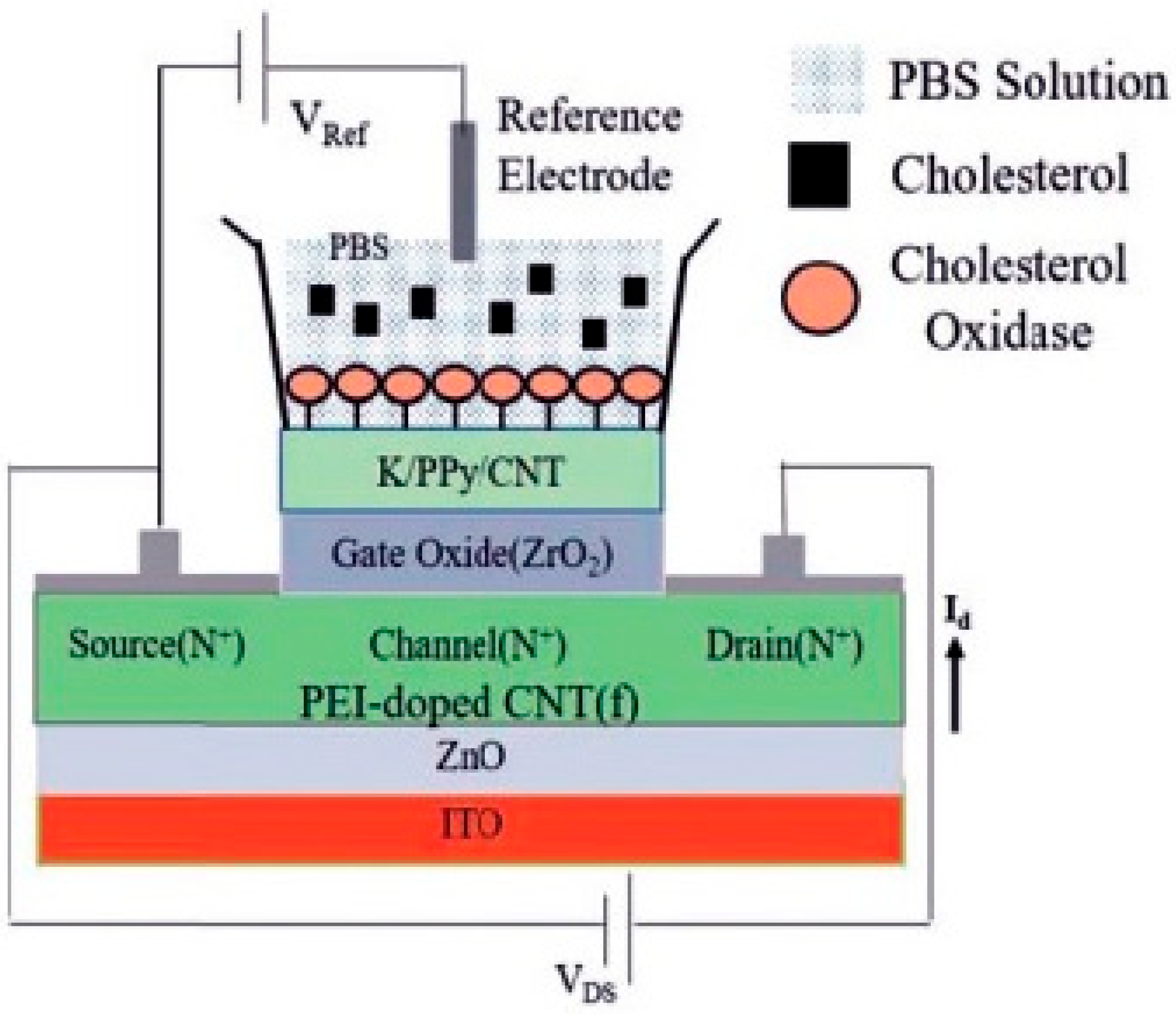 Biosensors 15 00296 g009