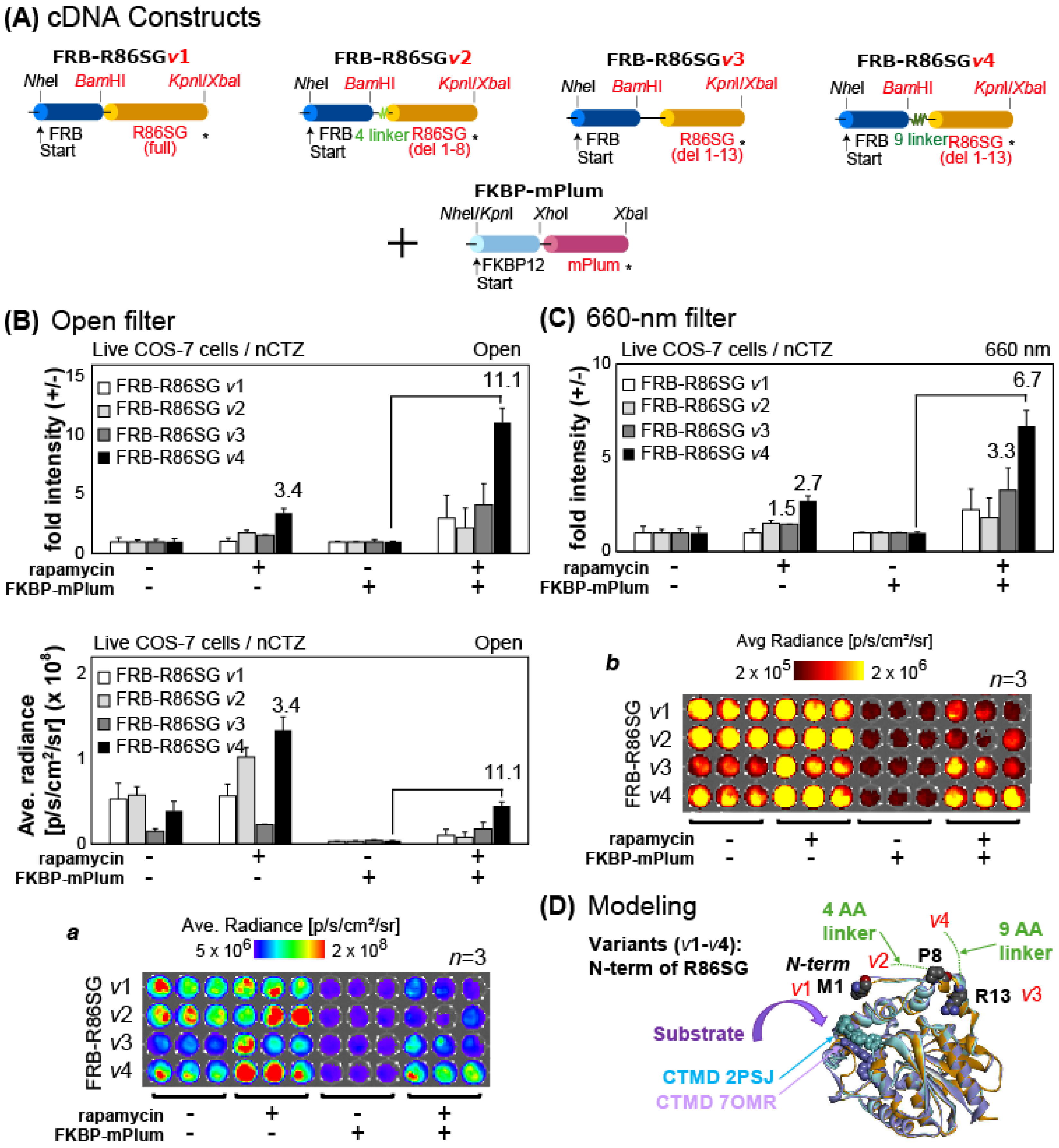 Biosensors 15 00299 g005
