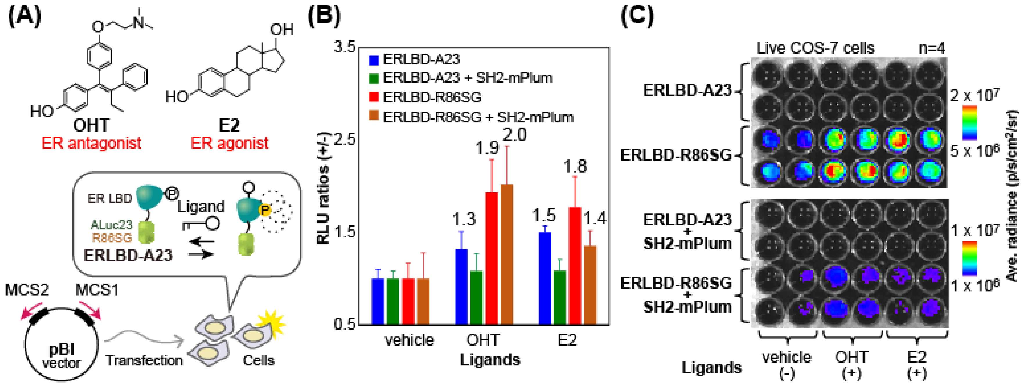 Biosensors 15 00299 g006
