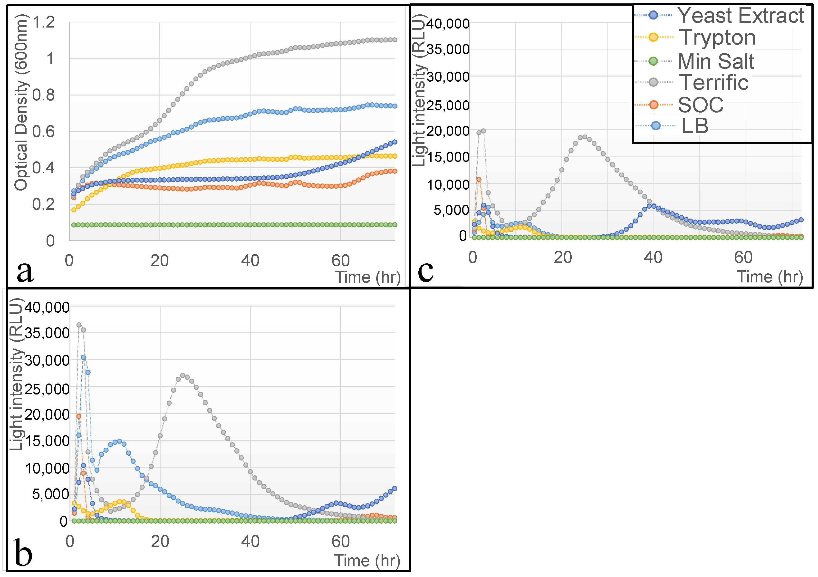 Biosensors 15 00300 g002