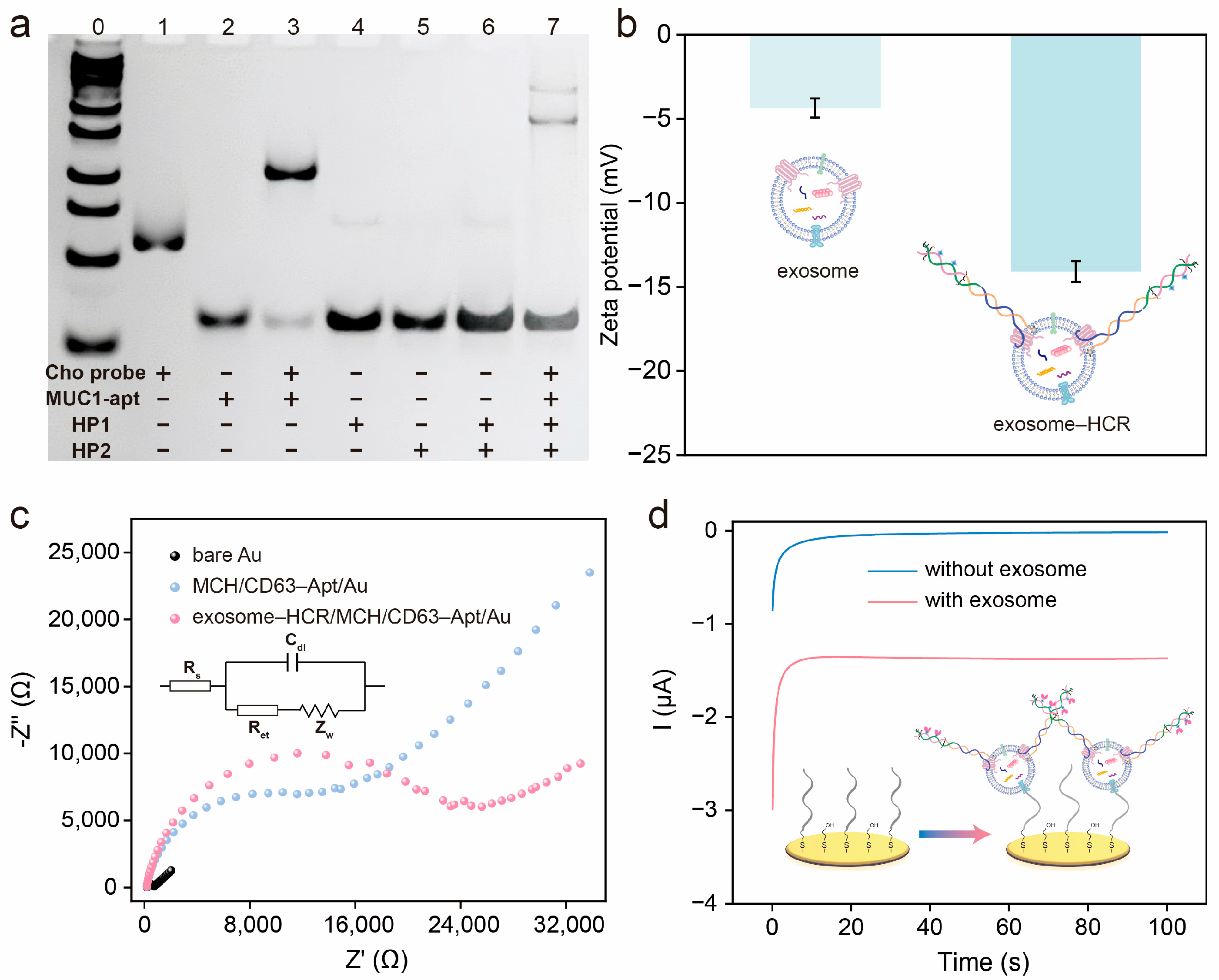 Biosensors 15 00302 g002