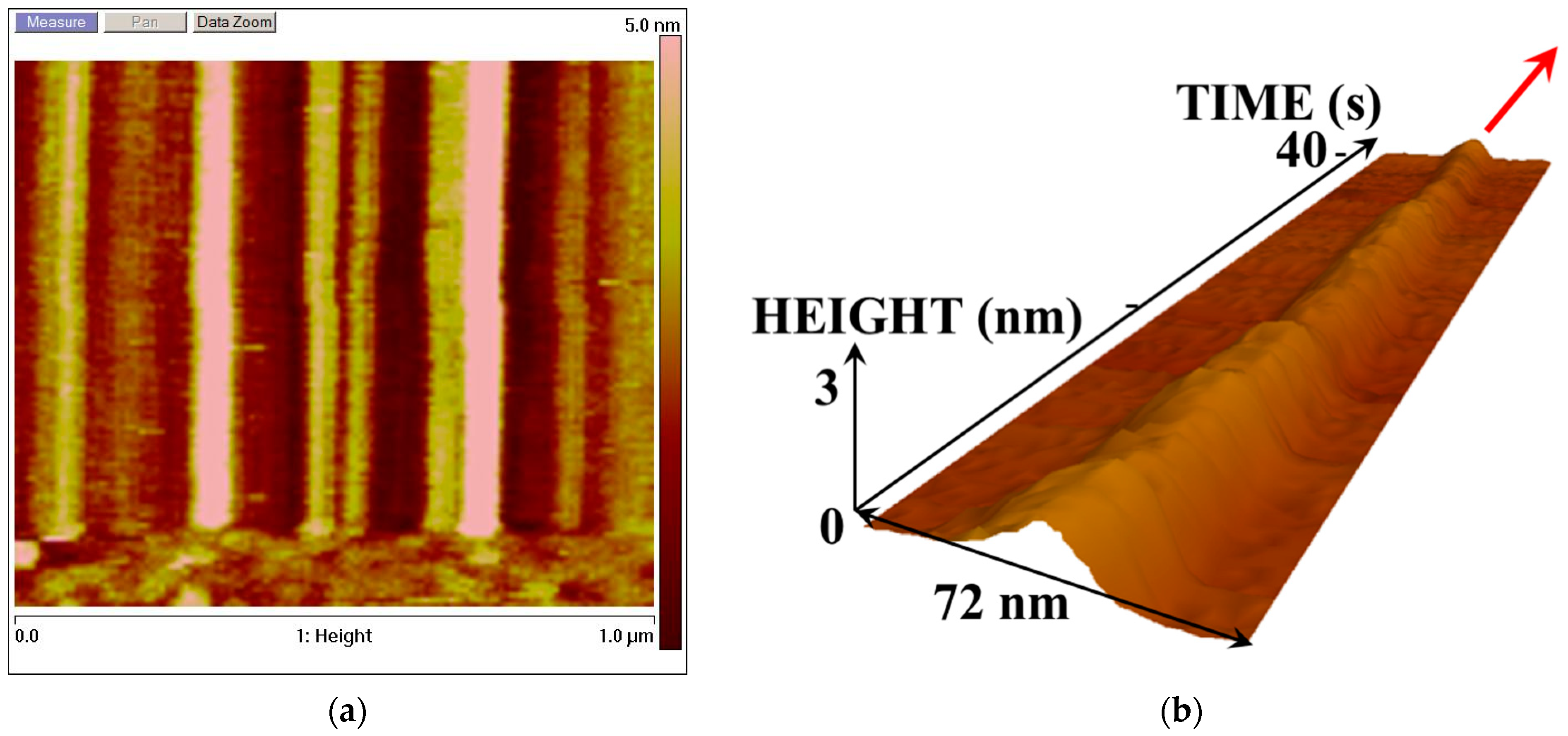 Biosensors 15 00303 g003