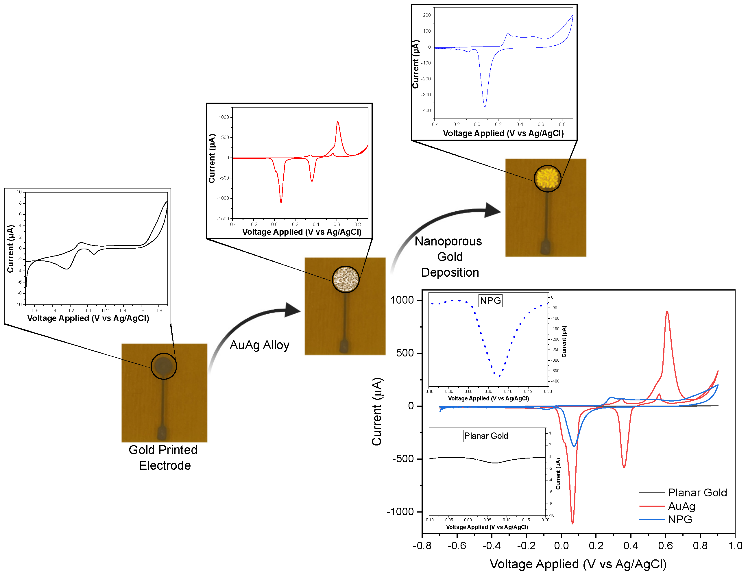 Biosensors 15 00304 g001