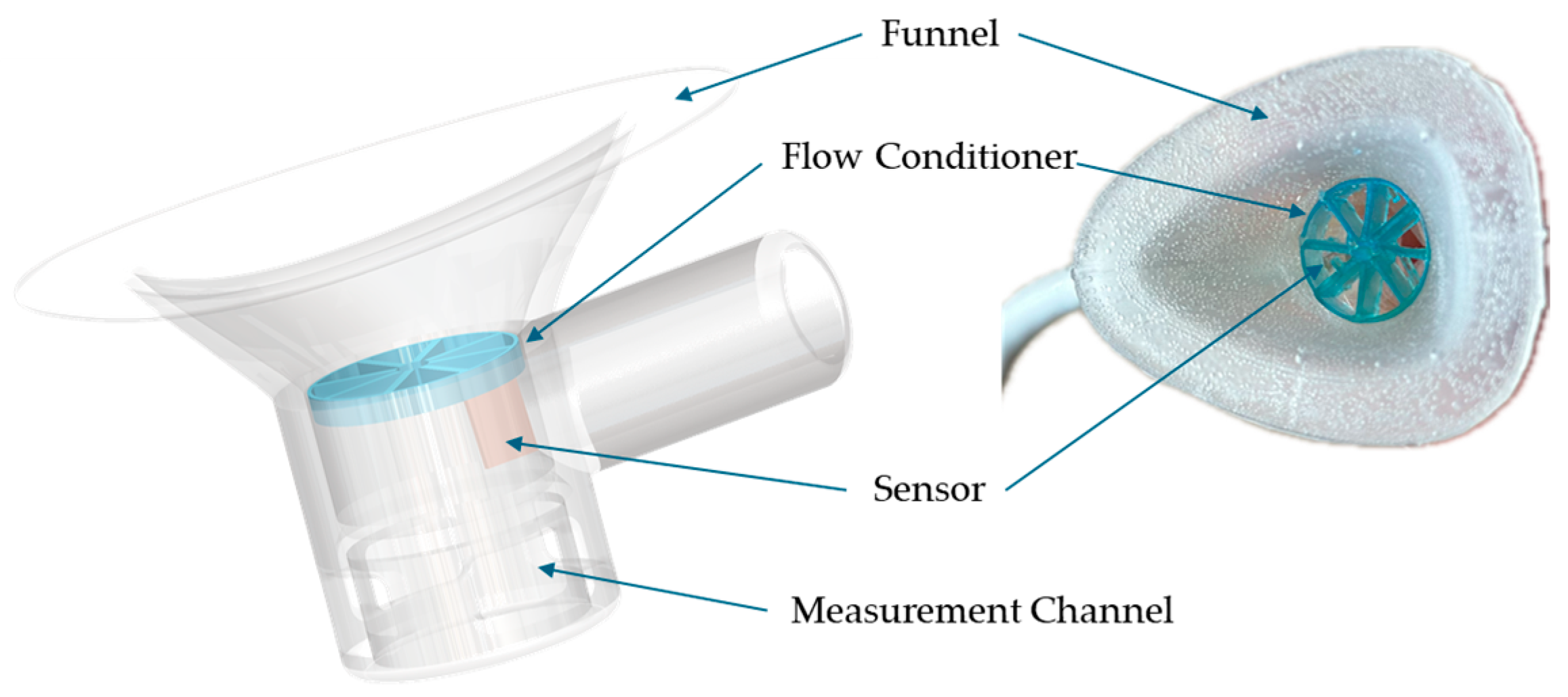 Biosensors 15 00306 g005