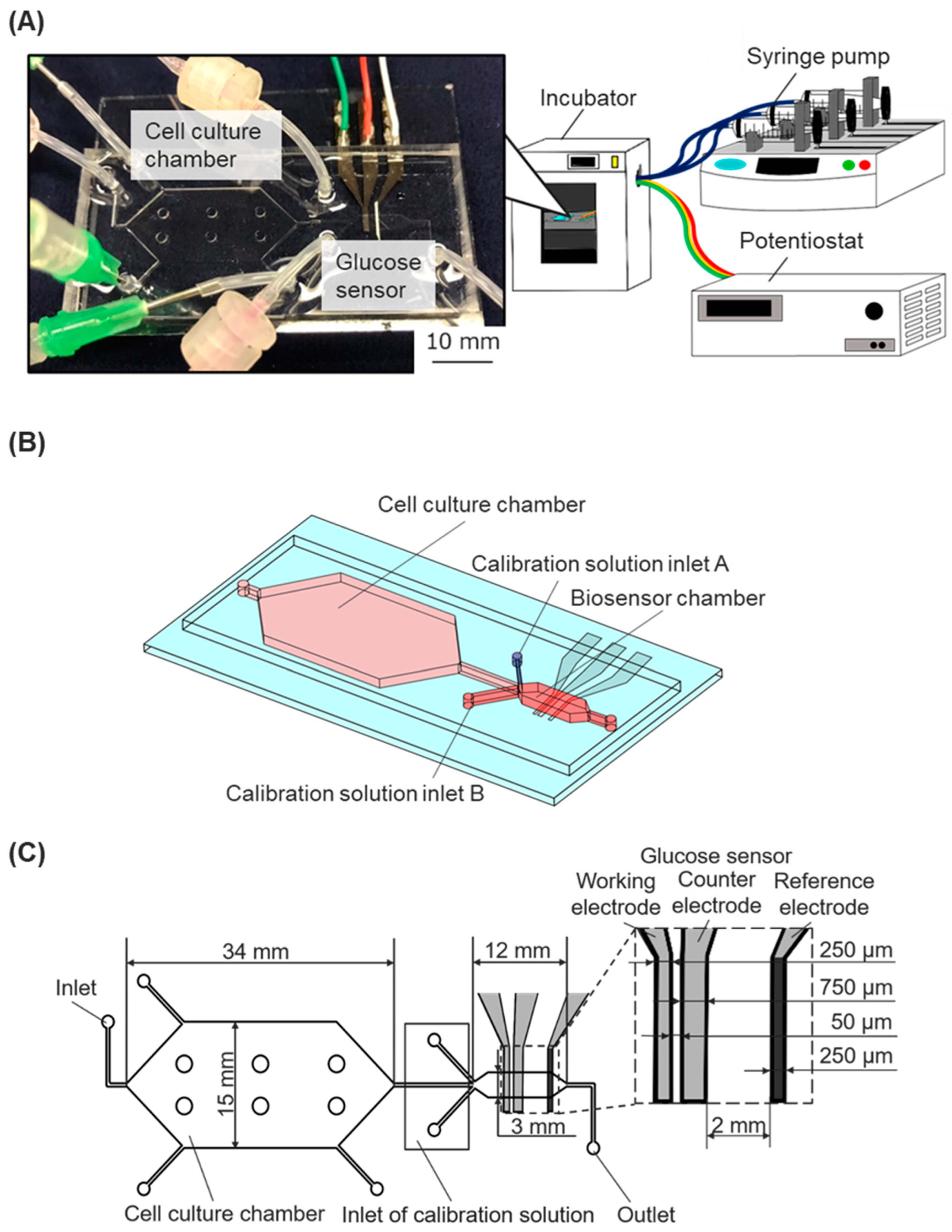 Biosensors 15 00307 g001