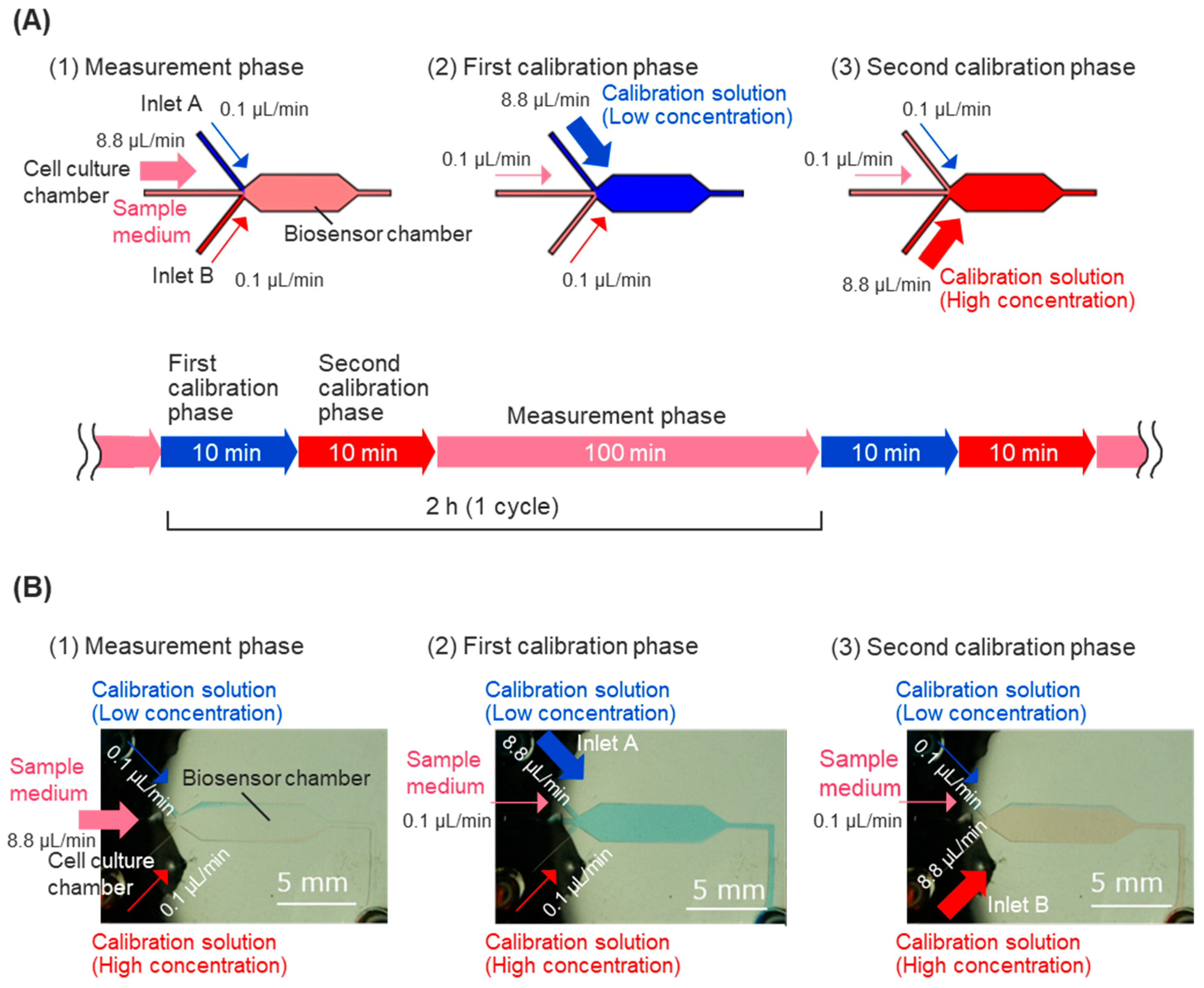 Biosensors 15 00307 g002